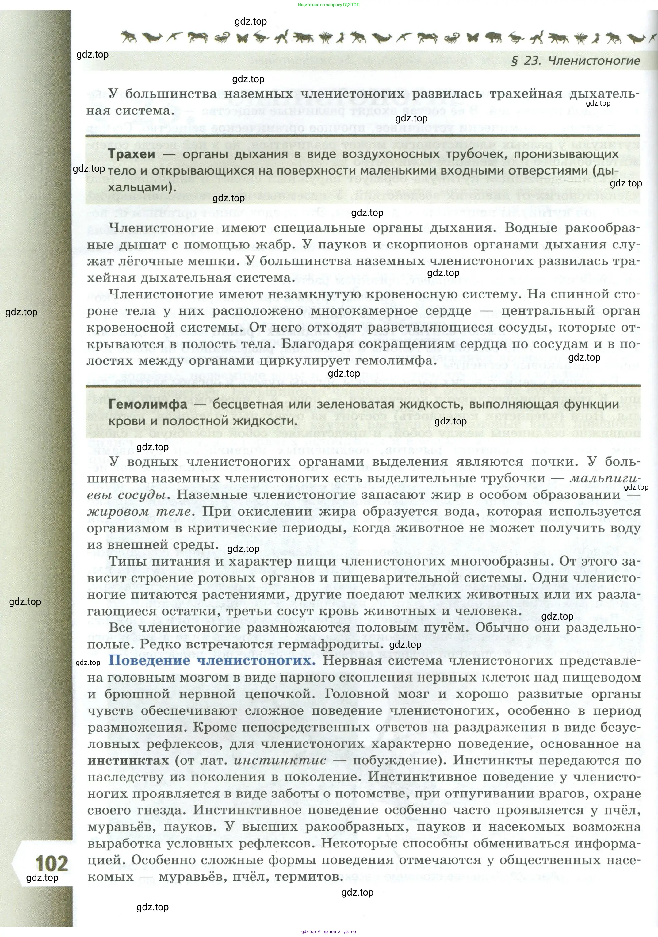 Биология, 8 класс Учебник, авторы: Пасечник Владимир Васильевич, Суматохин Сергей Витальевич, Гапонюк Зоя Георгиевна, издательство Просвещение, Москва, 2023, белого цвета, страница 102