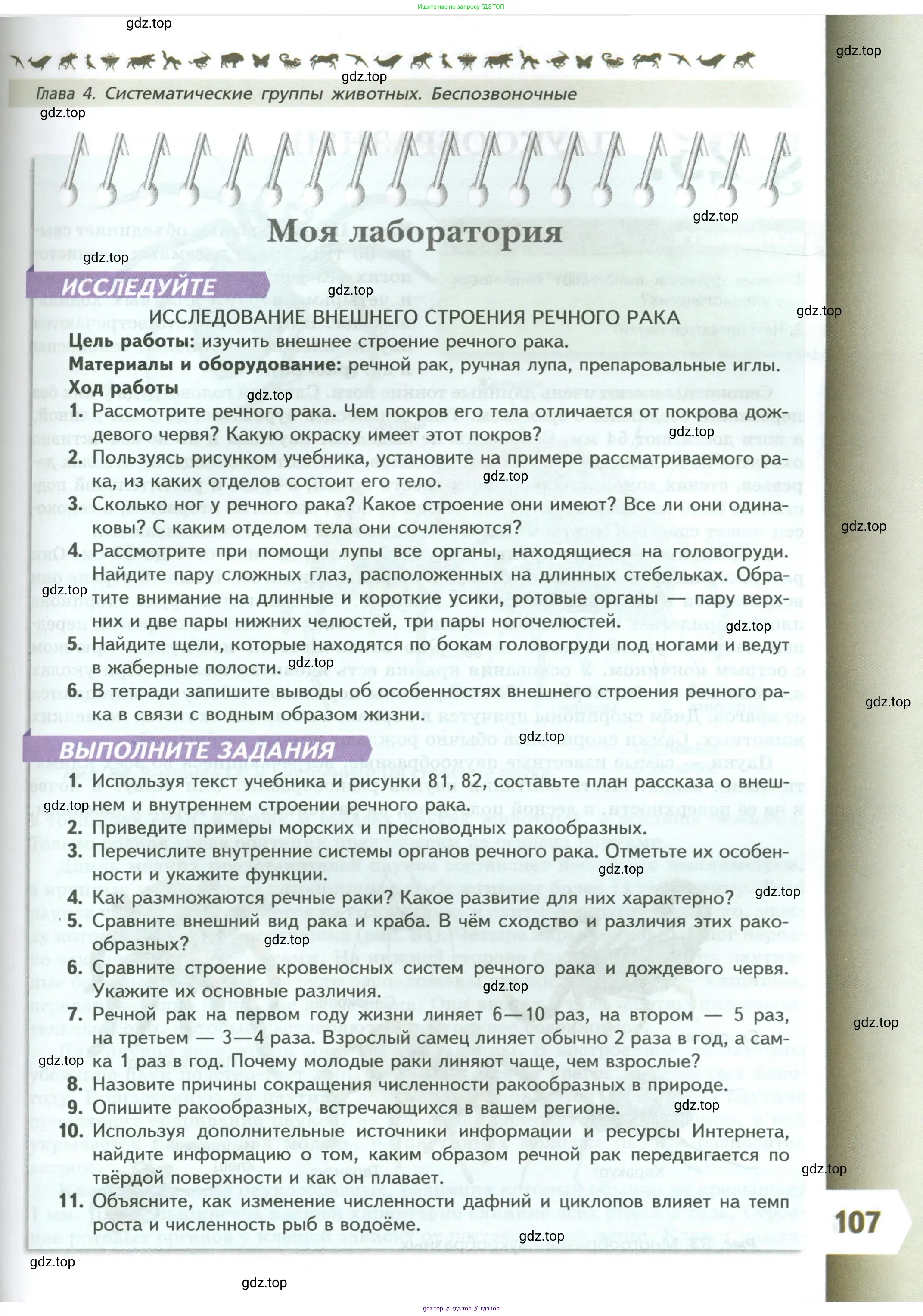Биология, 8 класс Учебник, авторы: Пасечник Владимир Васильевич, Суматохин Сергей Витальевич, Гапонюк Зоя Георгиевна, издательство Просвещение, Москва, 2023, белого цвета, страница 107