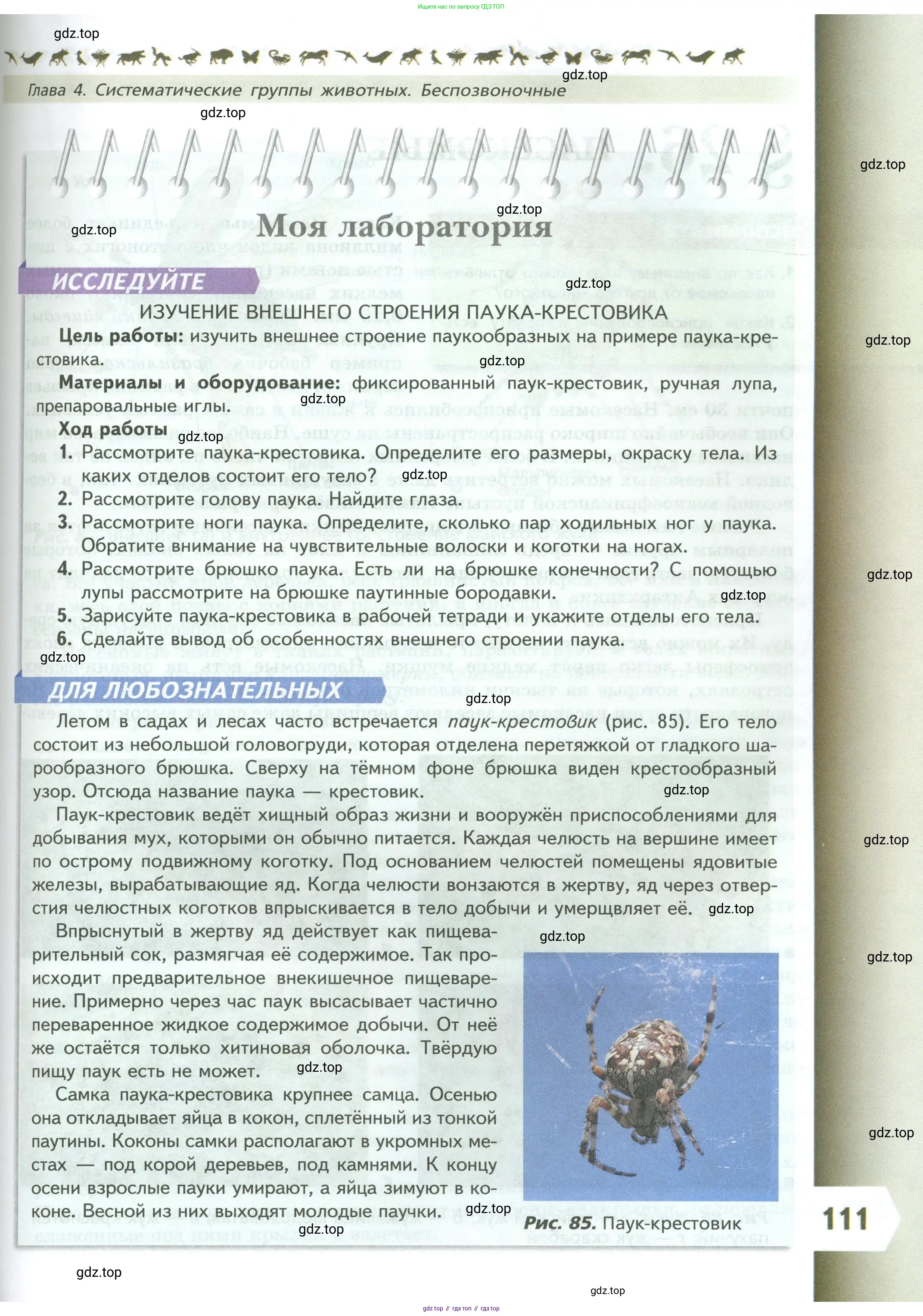 Биология, 8 класс Учебник, авторы: Пасечник Владимир Васильевич, Суматохин Сергей Витальевич, Гапонюк Зоя Георгиевна, издательство Просвещение, Москва, 2023, белого цвета, страница 111