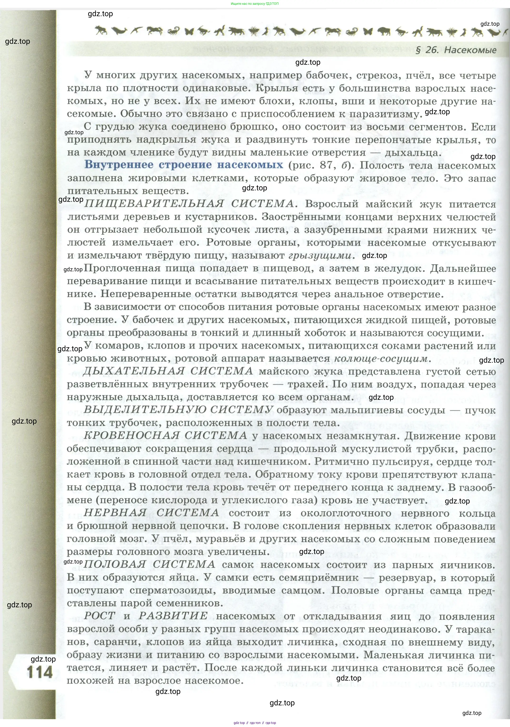 Биология, 8 класс Учебник, авторы: Пасечник Владимир Васильевич, Суматохин Сергей Витальевич, Гапонюк Зоя Георгиевна, издательство Просвещение, Москва, 2023, белого цвета, страница 114