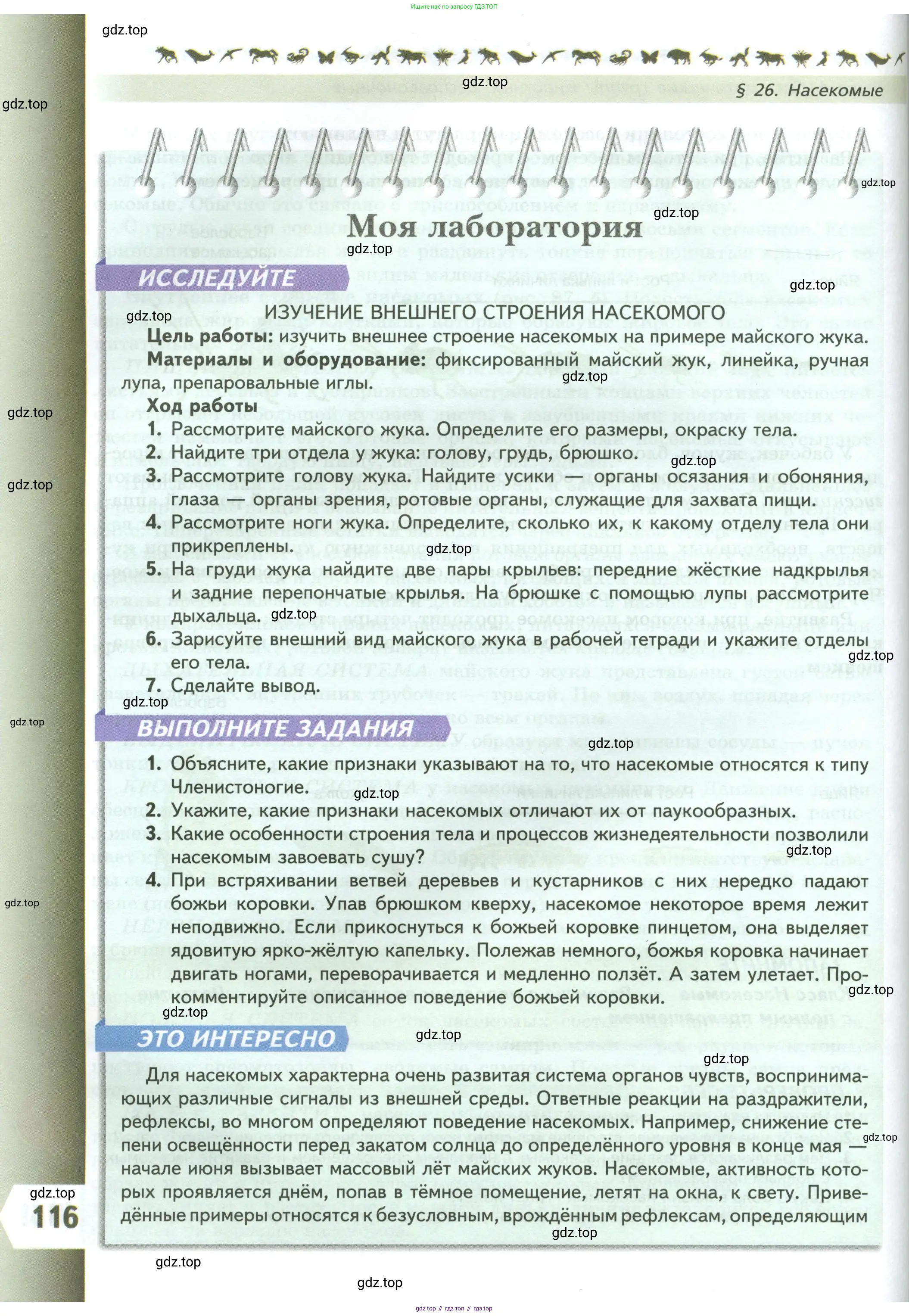 Биология, 8 класс Учебник, авторы: Пасечник Владимир Васильевич, Суматохин Сергей Витальевич, Гапонюк Зоя Георгиевна, издательство Просвещение, Москва, 2023, белого цвета, страница 116