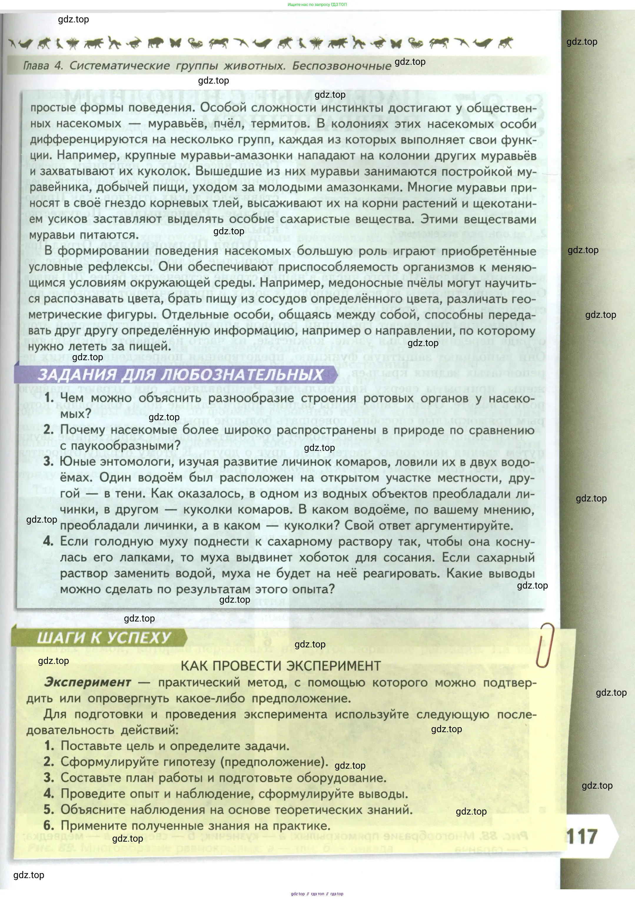 Биология, 8 класс Учебник, авторы: Пасечник Владимир Васильевич, Суматохин Сергей Витальевич, Гапонюк Зоя Георгиевна, издательство Просвещение, Москва, 2023, белого цвета, страница 117