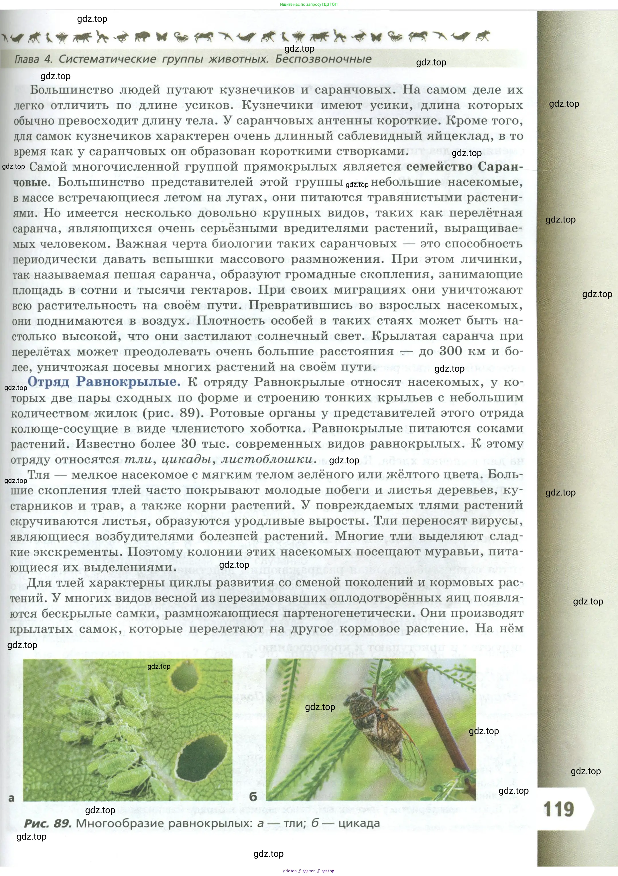 Биология, 8 класс Учебник, авторы: Пасечник Владимир Васильевич, Суматохин Сергей Витальевич, Гапонюк Зоя Георгиевна, издательство Просвещение, Москва, 2023, белого цвета, страница 119