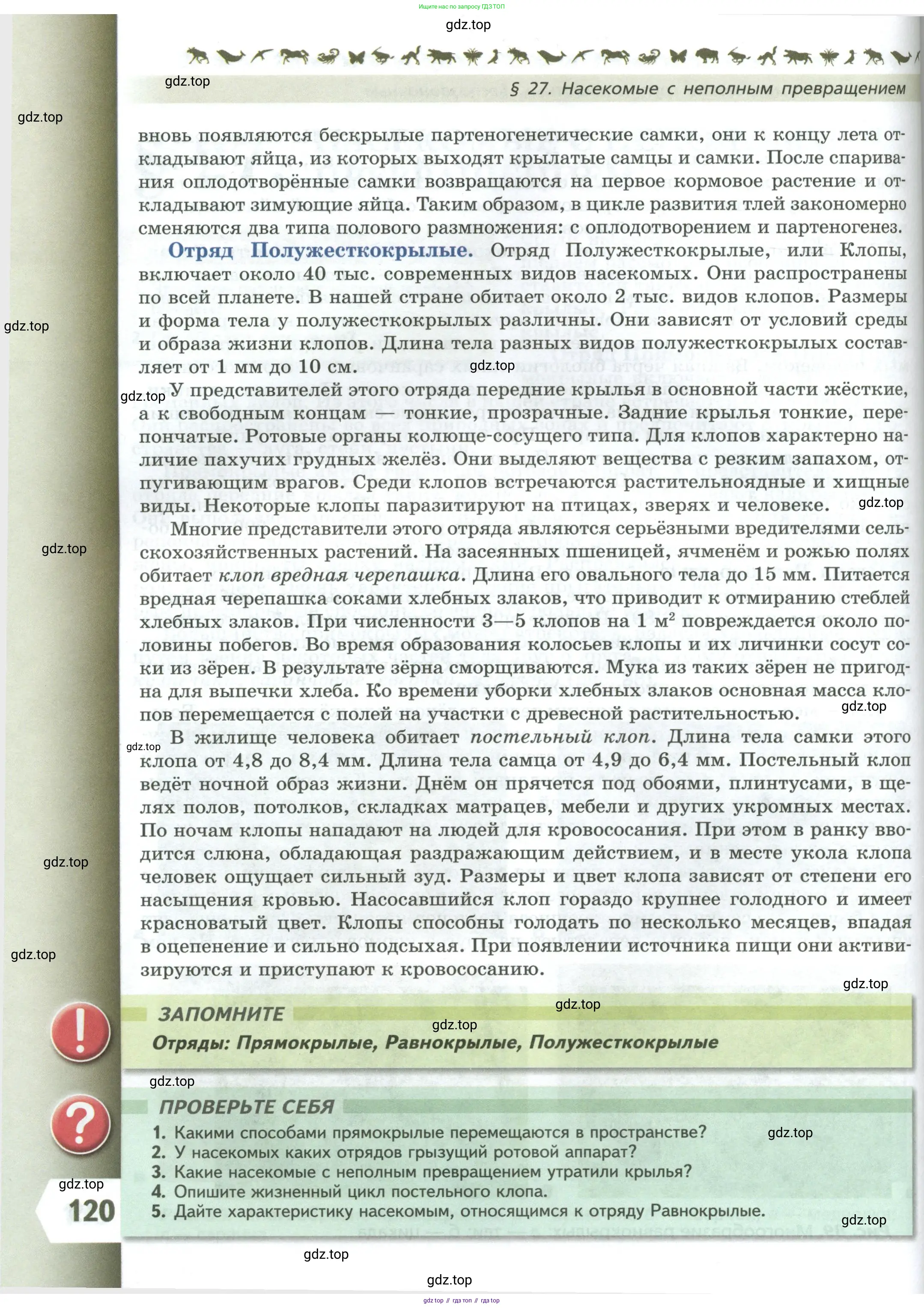 Биология, 8 класс Учебник, авторы: Пасечник Владимир Васильевич, Суматохин Сергей Витальевич, Гапонюк Зоя Георгиевна, издательство Просвещение, Москва, 2023, белого цвета, страница 120