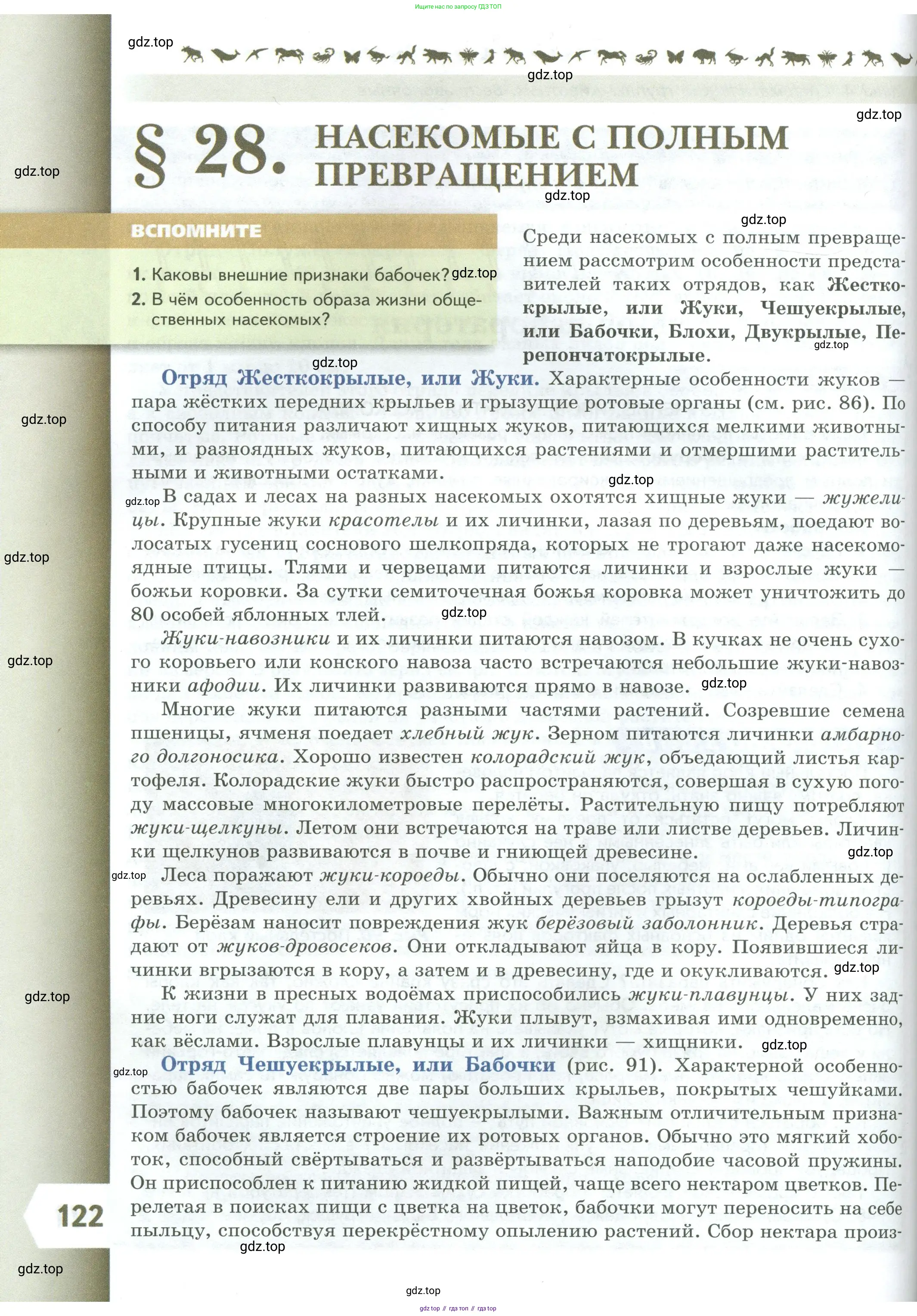 Биология, 8 класс Учебник, авторы: Пасечник Владимир Васильевич, Суматохин Сергей Витальевич, Гапонюк Зоя Георгиевна, издательство Просвещение, Москва, 2023, белого цвета, страница 122