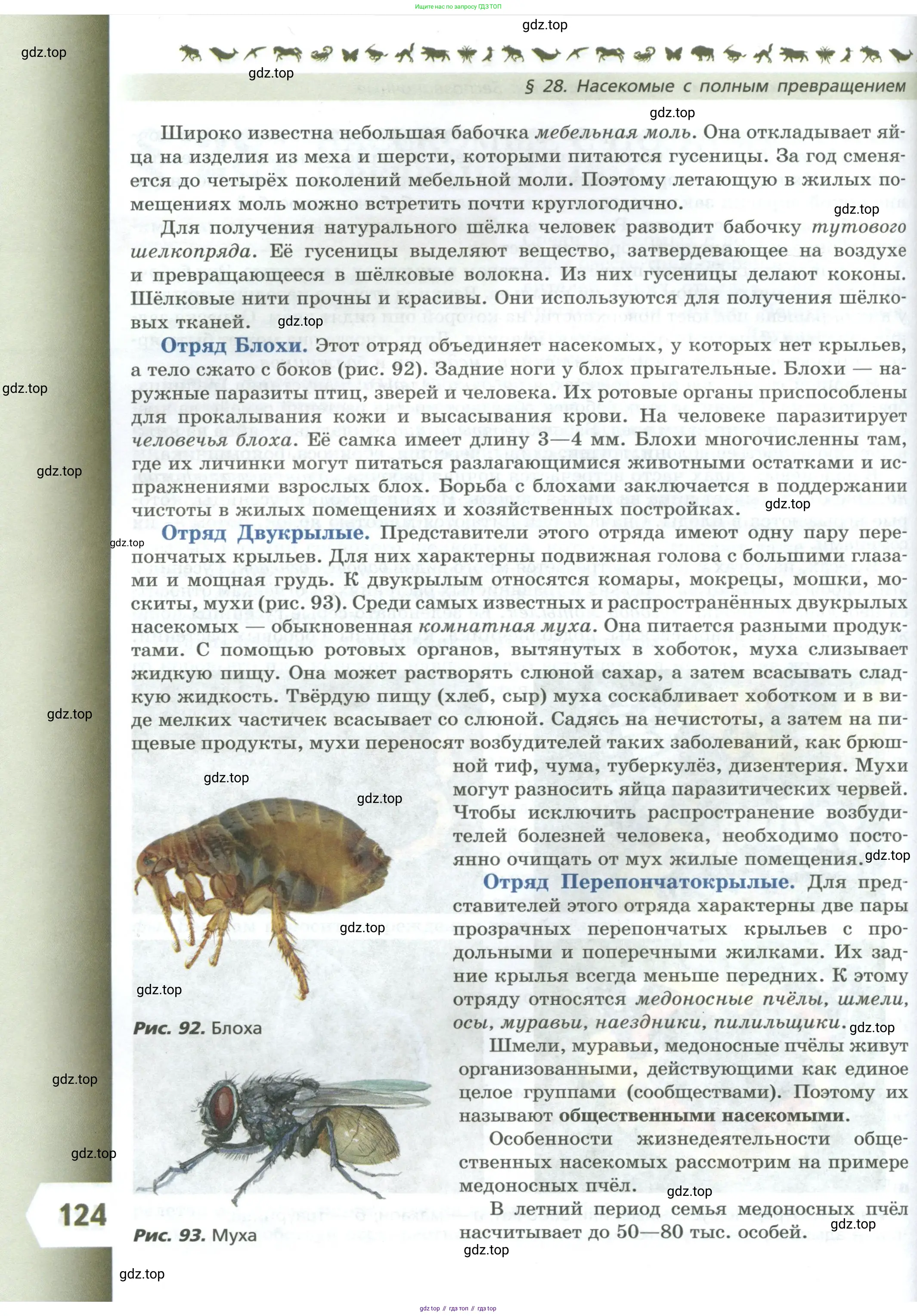 Биология, 8 класс Учебник, авторы: Пасечник Владимир Васильевич, Суматохин Сергей Витальевич, Гапонюк Зоя Георгиевна, издательство Просвещение, Москва, 2023, белого цвета, страница 124