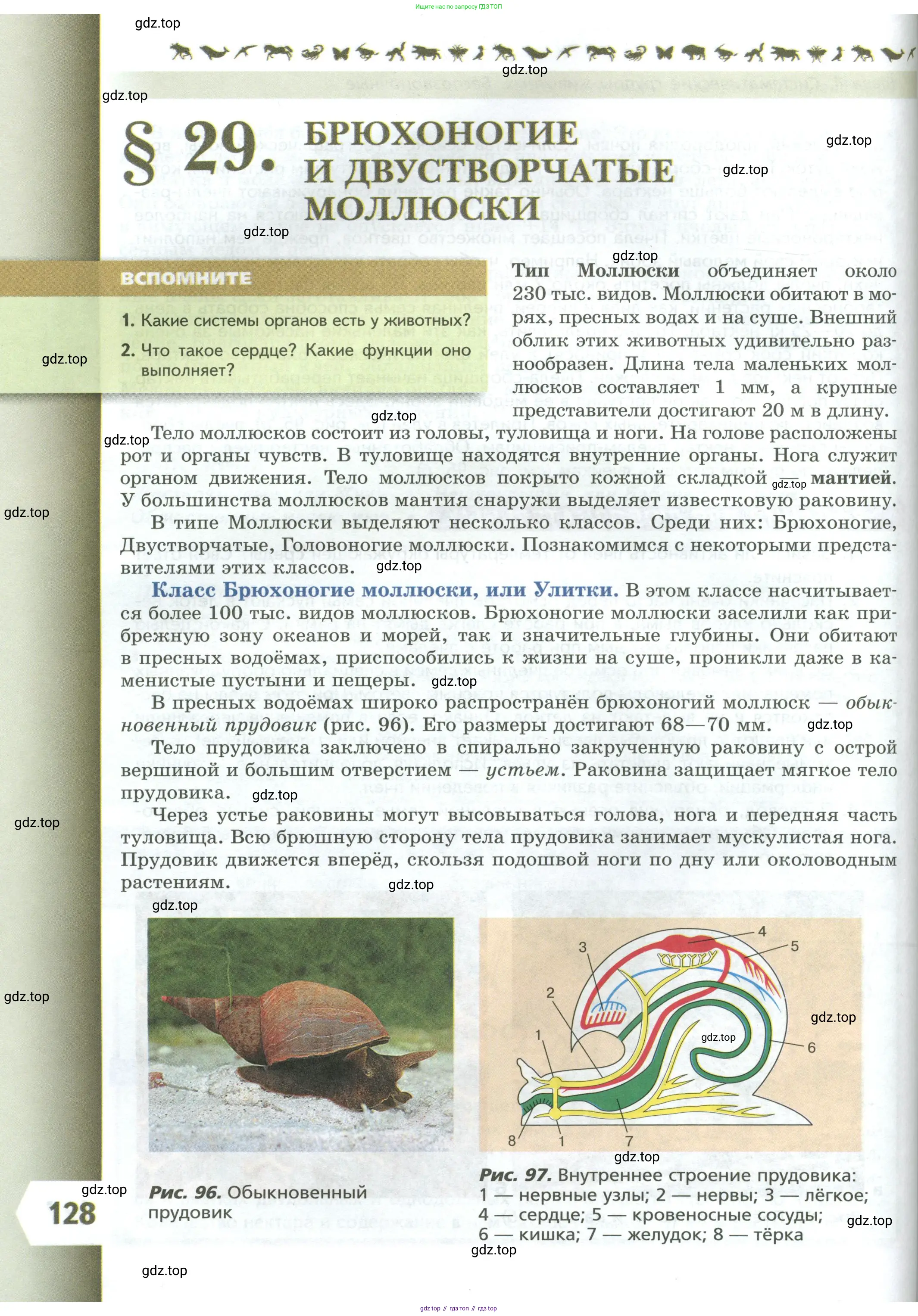 Биология, 8 класс Учебник, авторы: Пасечник Владимир Васильевич, Суматохин Сергей Витальевич, Гапонюк Зоя Георгиевна, издательство Просвещение, Москва, 2023, белого цвета, страница 128
