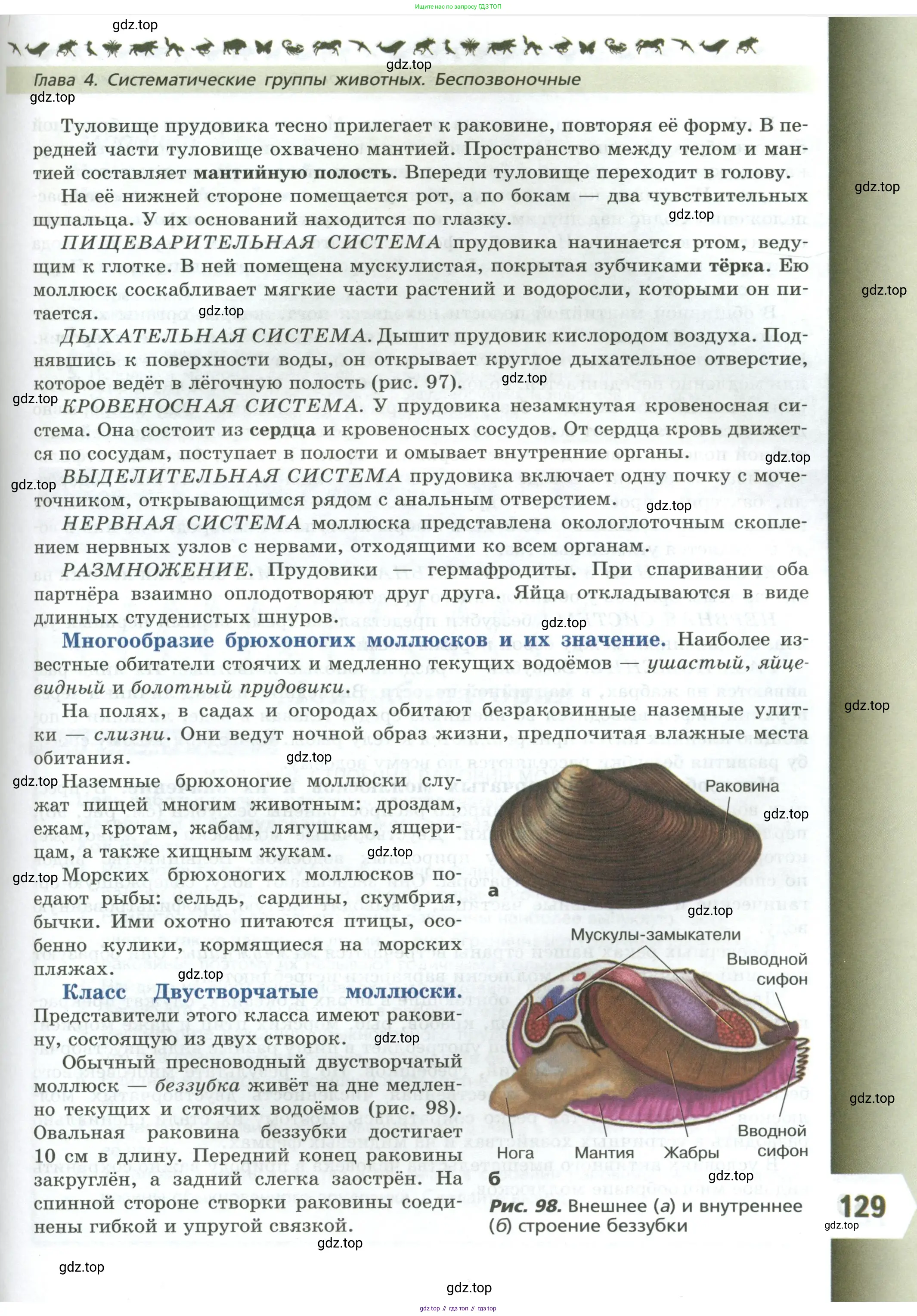 Биология, 8 класс Учебник, авторы: Пасечник Владимир Васильевич, Суматохин Сергей Витальевич, Гапонюк Зоя Георгиевна, издательство Просвещение, Москва, 2023, белого цвета, страница 129