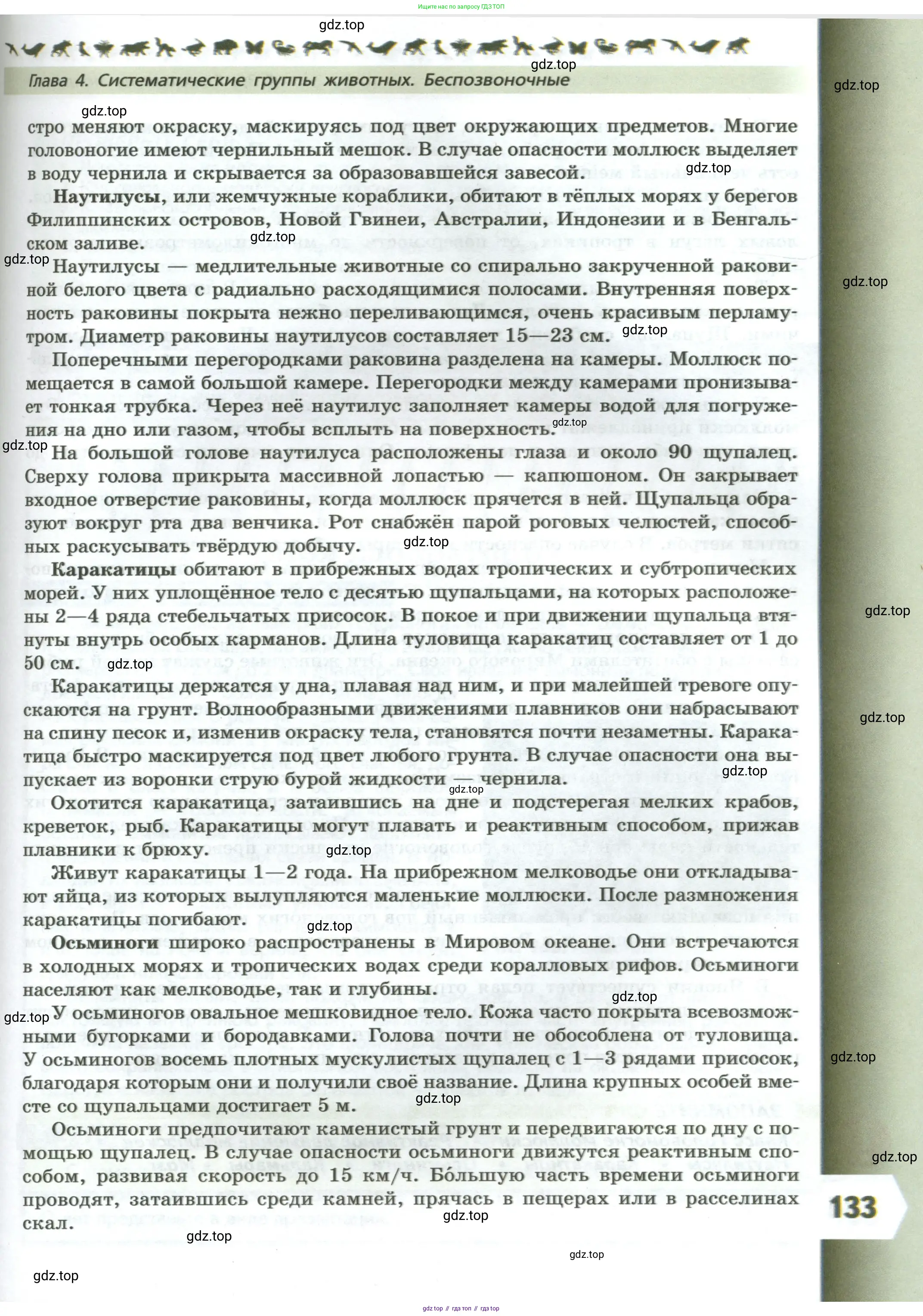 Биология, 8 класс Учебник, авторы: Пасечник Владимир Васильевич, Суматохин Сергей Витальевич, Гапонюк Зоя Георгиевна, издательство Просвещение, Москва, 2023, белого цвета, страница 133