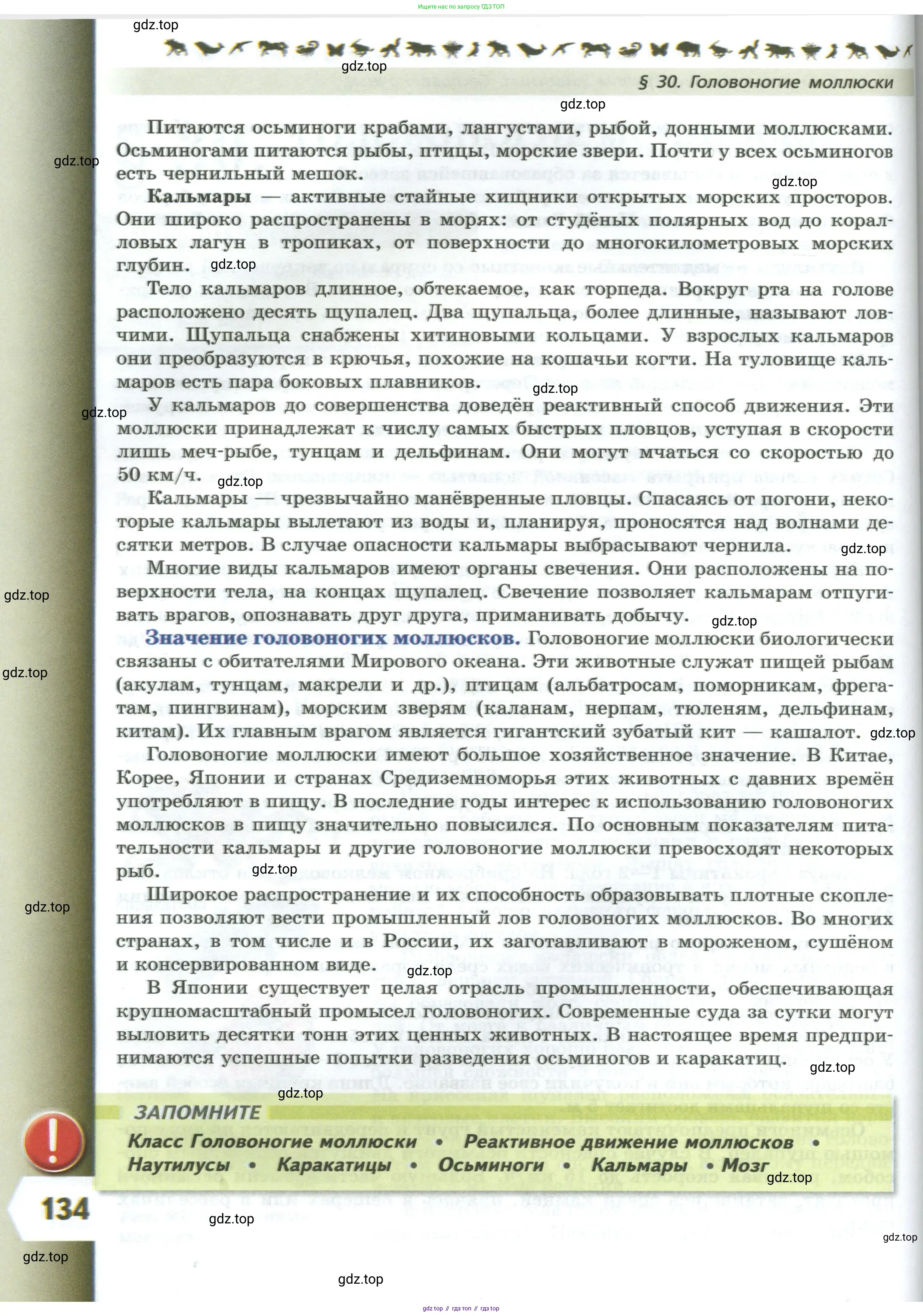 Биология, 8 класс Учебник, авторы: Пасечник Владимир Васильевич, Суматохин Сергей Витальевич, Гапонюк Зоя Георгиевна, издательство Просвещение, Москва, 2023, белого цвета, страница 134