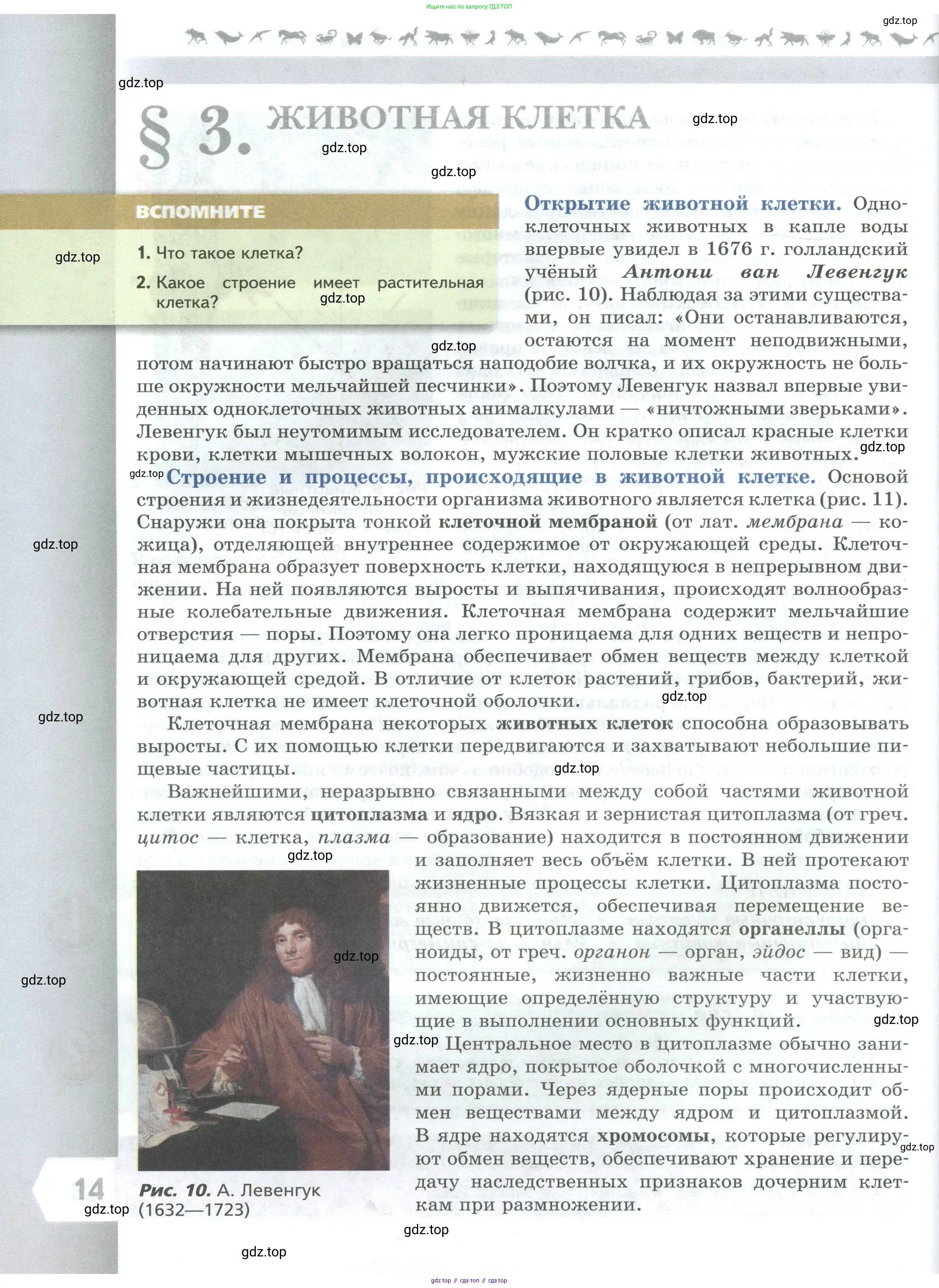 Биология, 8 класс Учебник, авторы: Пасечник Владимир Васильевич, Суматохин Сергей Витальевич, Гапонюк Зоя Георгиевна, издательство Просвещение, Москва, 2023, белого цвета, страница 14