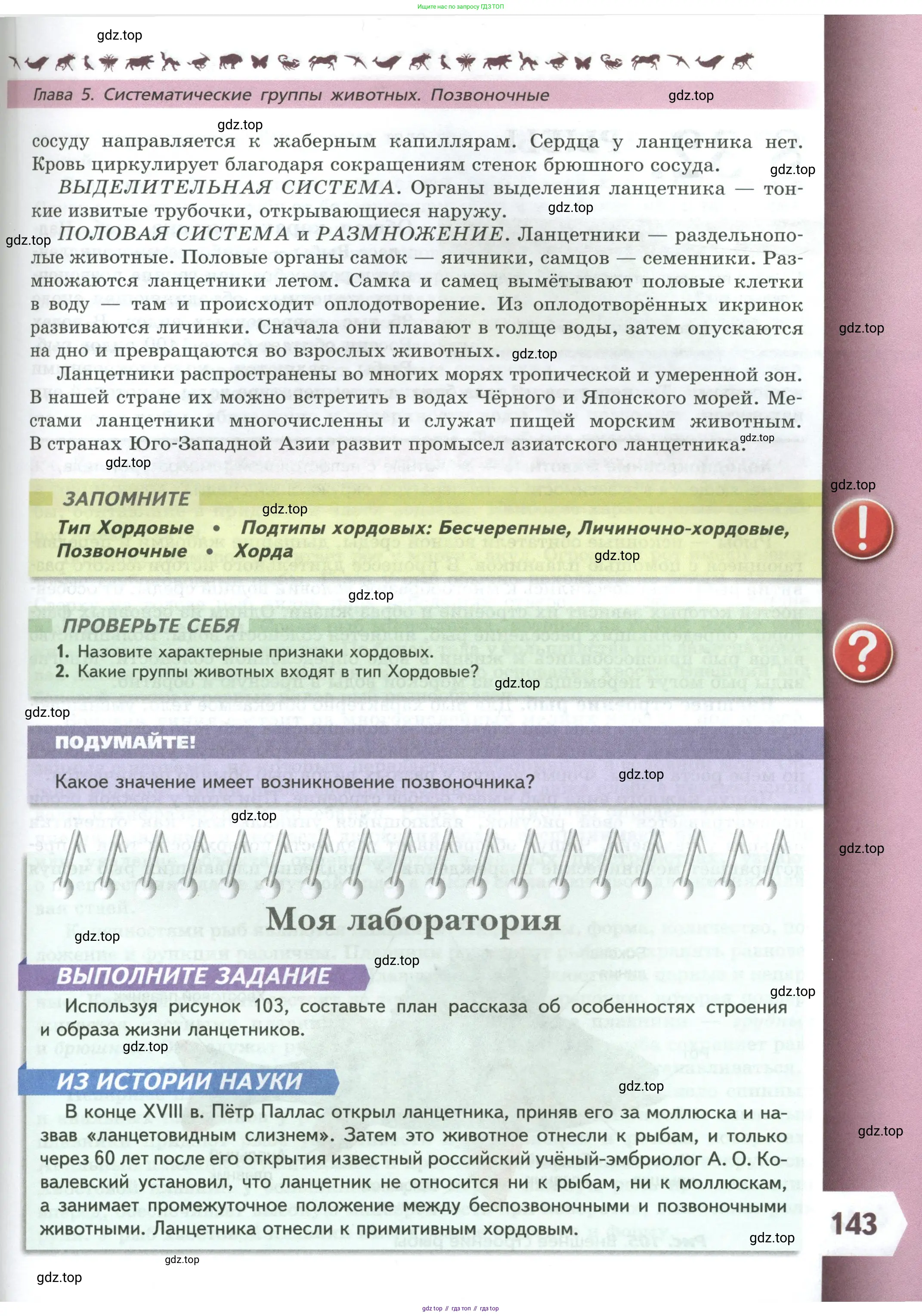 Биология, 8 класс Учебник, авторы: Пасечник Владимир Васильевич, Суматохин Сергей Витальевич, Гапонюк Зоя Георгиевна, издательство Просвещение, Москва, 2023, белого цвета, страница 143