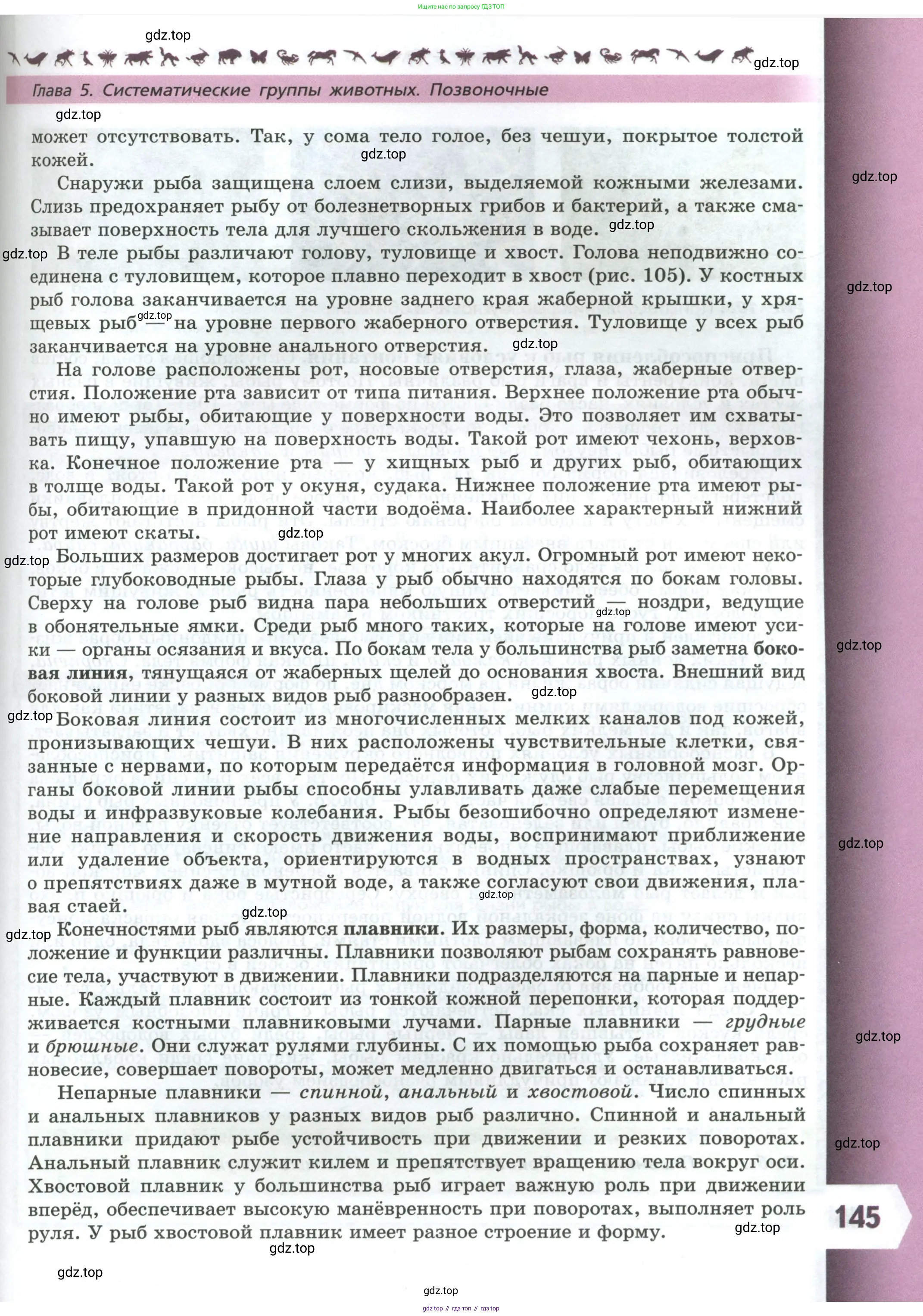 Биология, 8 класс Учебник, авторы: Пасечник Владимир Васильевич, Суматохин Сергей Витальевич, Гапонюк Зоя Георгиевна, издательство Просвещение, Москва, 2023, белого цвета, страница 145