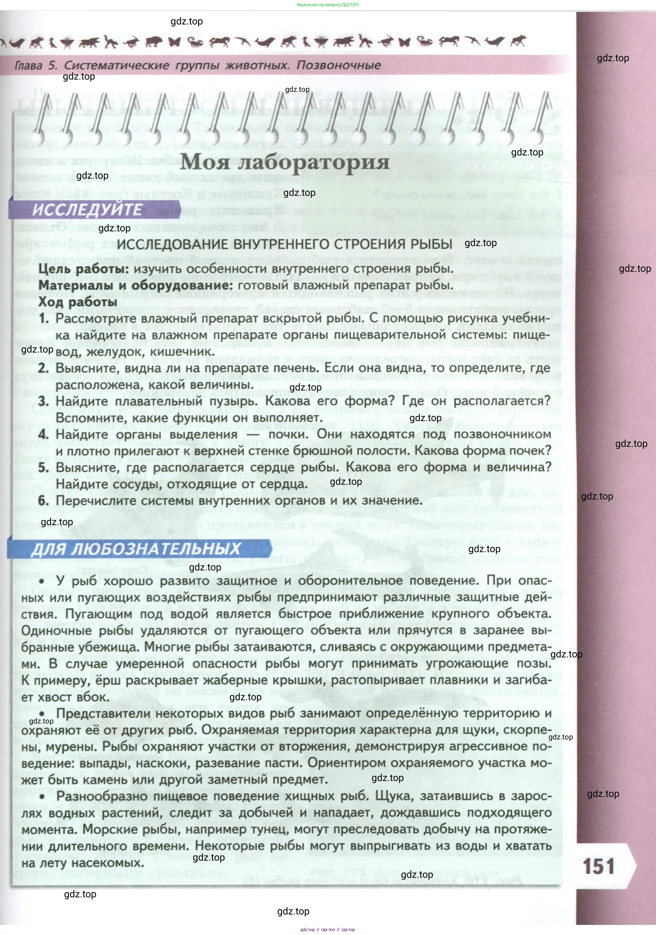Биология, 8 класс Учебник, авторы: Пасечник Владимир Васильевич, Суматохин Сергей Витальевич, Гапонюк Зоя Георгиевна, издательство Просвещение, Москва, 2023, белого цвета, страница 151