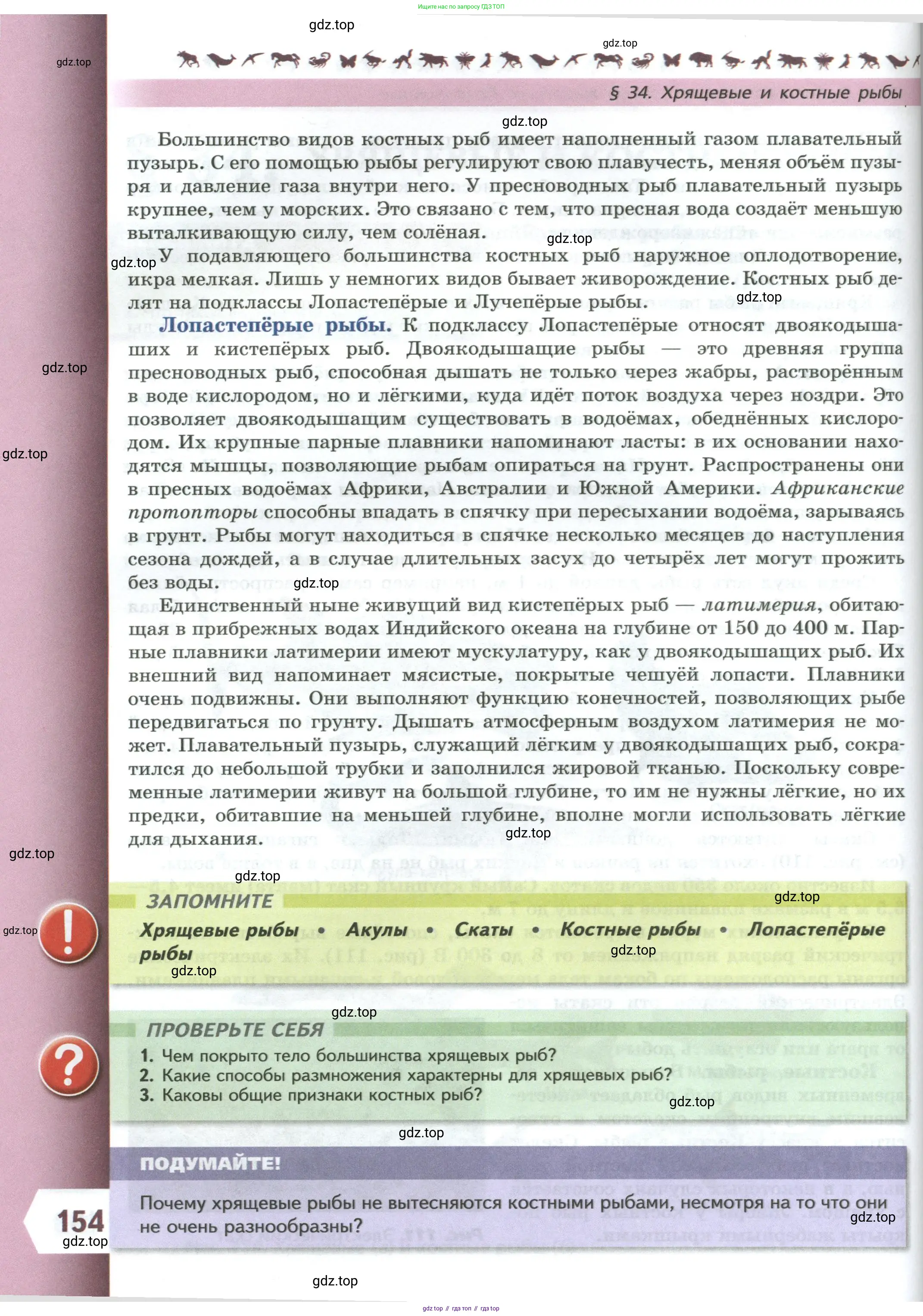 Биология, 8 класс Учебник, авторы: Пасечник Владимир Васильевич, Суматохин Сергей Витальевич, Гапонюк Зоя Георгиевна, издательство Просвещение, Москва, 2023, белого цвета, страница 154