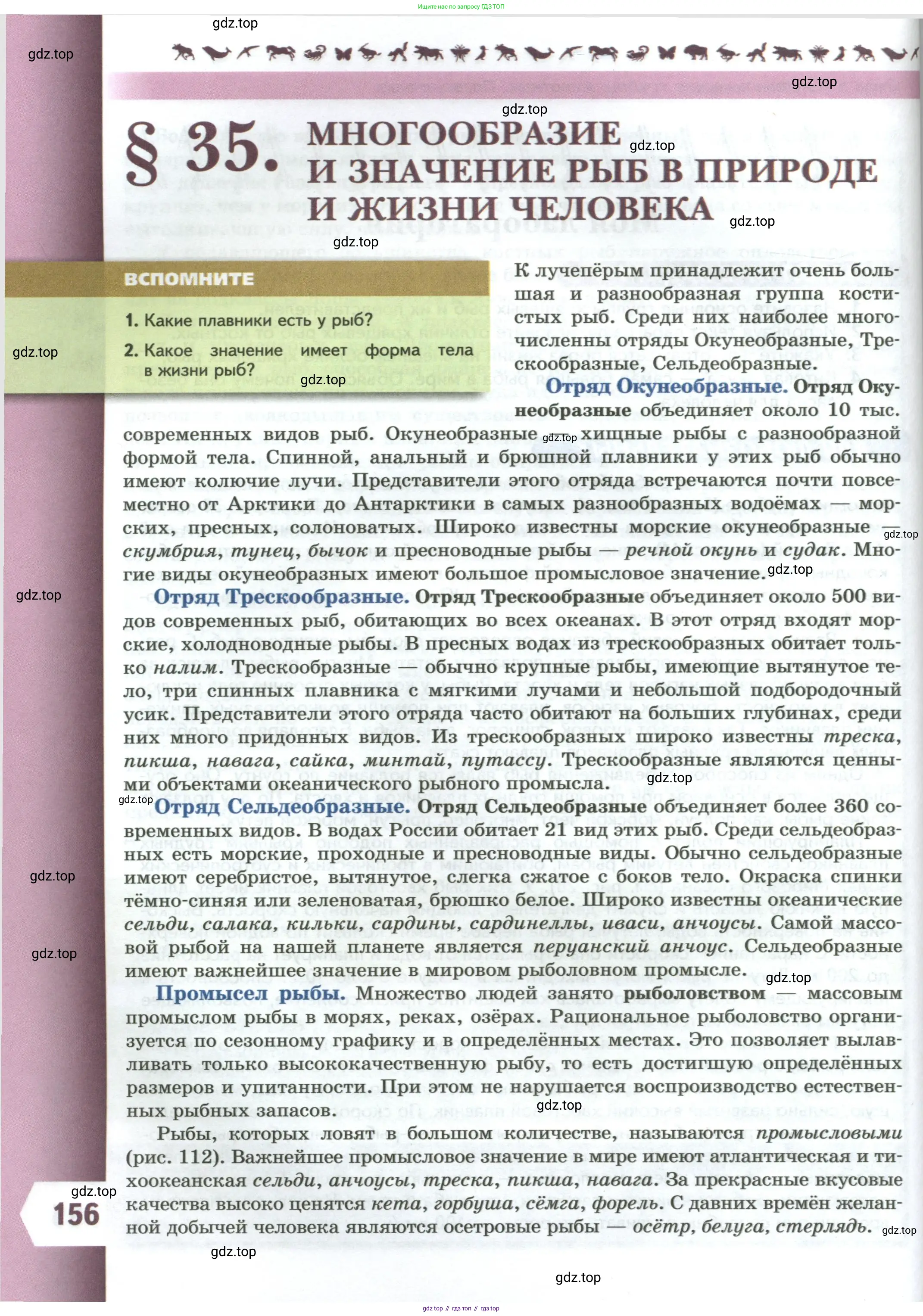 Биология, 8 класс Учебник, авторы: Пасечник Владимир Васильевич, Суматохин Сергей Витальевич, Гапонюк Зоя Георгиевна, издательство Просвещение, Москва, 2023, белого цвета, страница 156