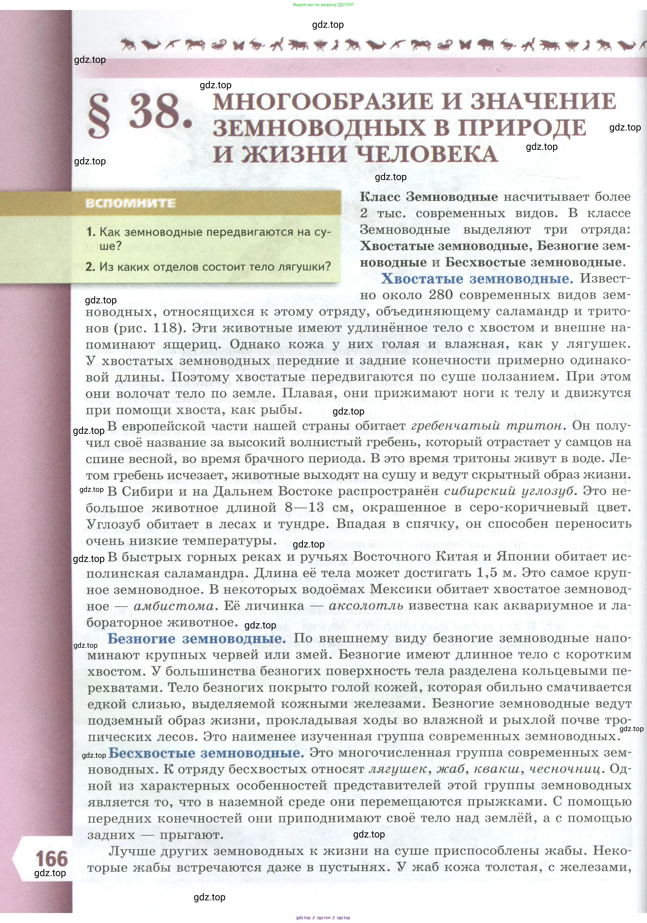 Биология, 8 класс Учебник, авторы: Пасечник Владимир Васильевич, Суматохин Сергей Витальевич, Гапонюк Зоя Георгиевна, издательство Просвещение, Москва, 2023, белого цвета, страница 166