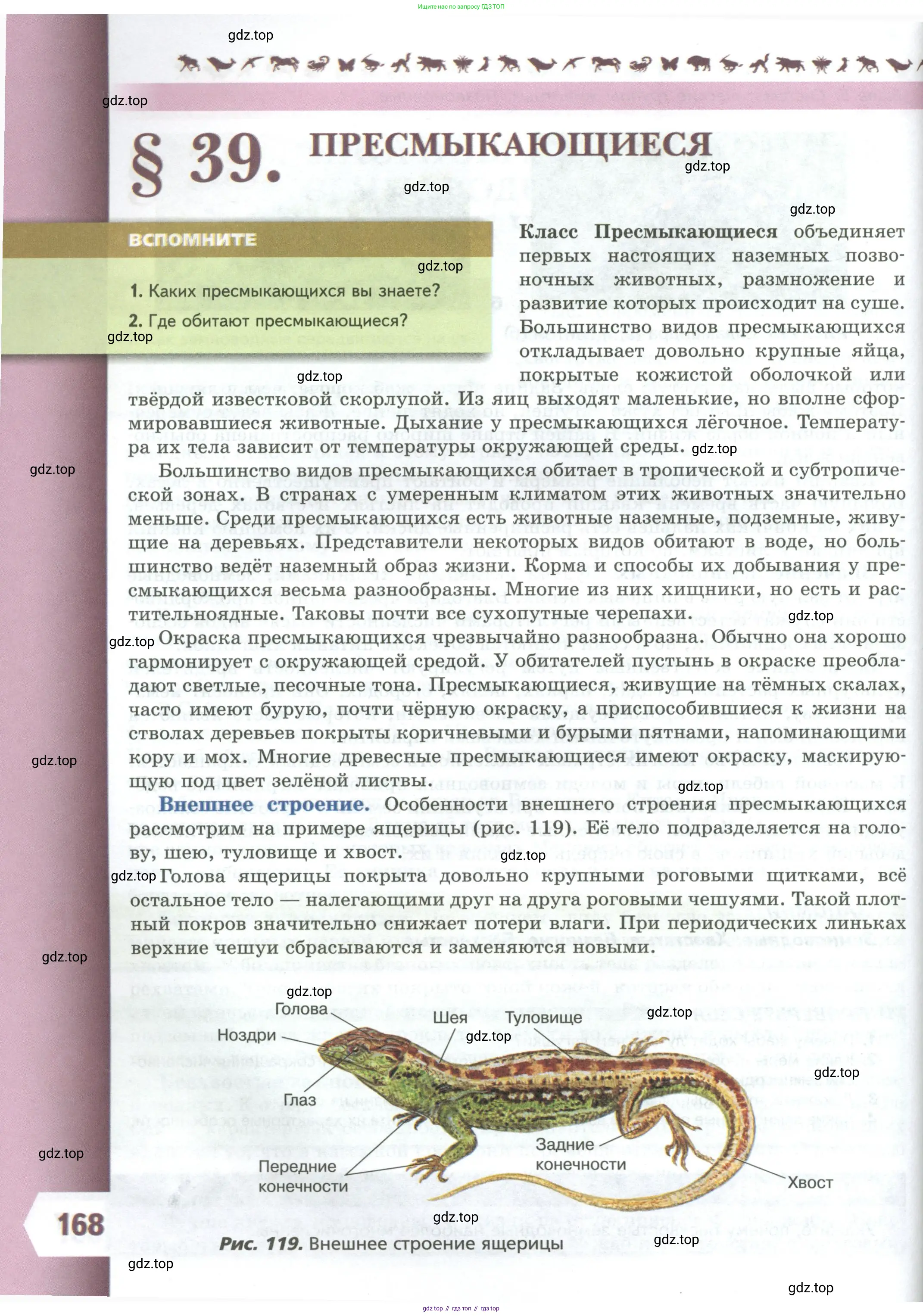 Биология, 8 класс Учебник, авторы: Пасечник Владимир Васильевич, Суматохин Сергей Витальевич, Гапонюк Зоя Георгиевна, издательство Просвещение, Москва, 2023, белого цвета, страница 168