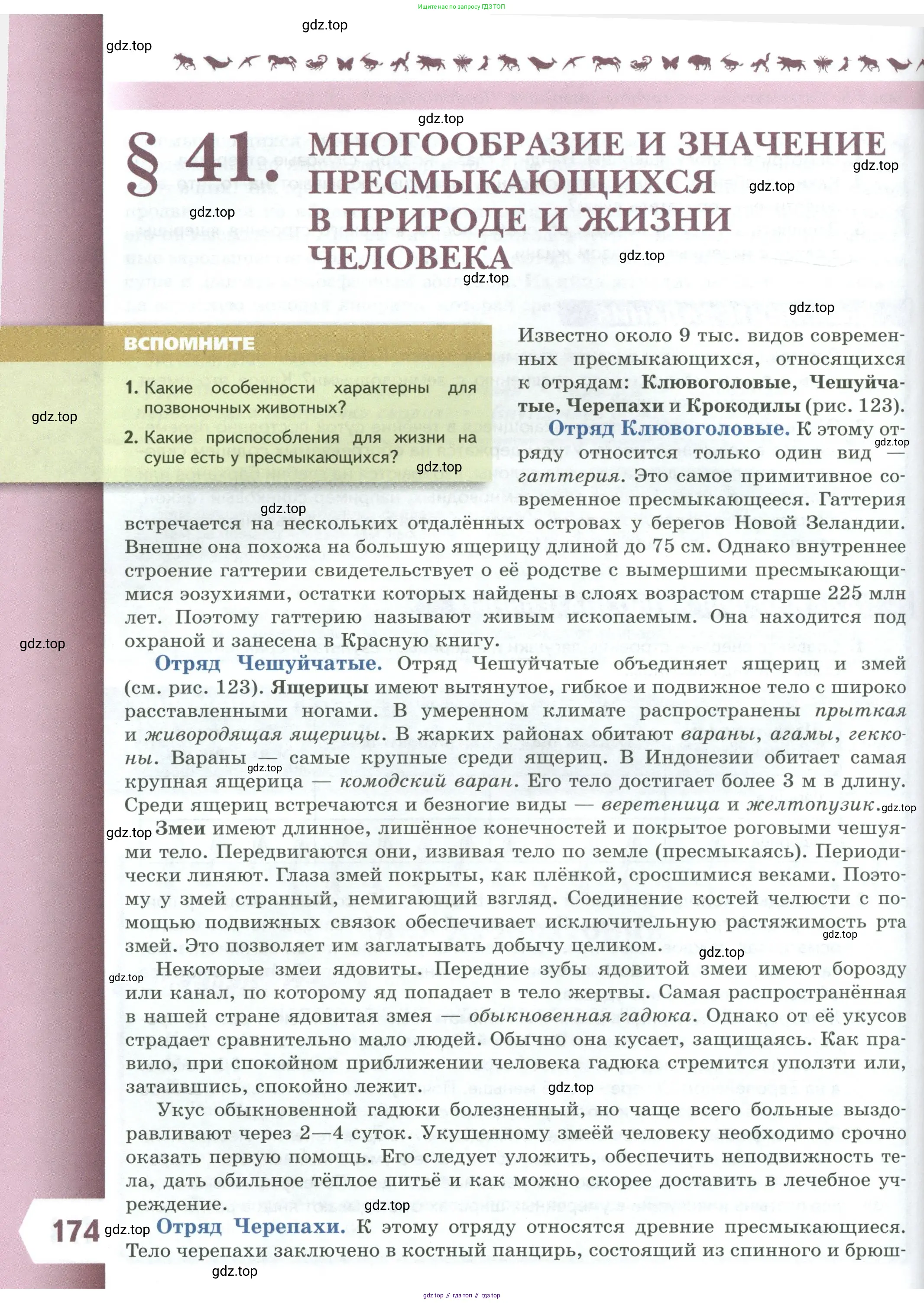 Биология, 8 класс Учебник, авторы: Пасечник Владимир Васильевич, Суматохин Сергей Витальевич, Гапонюк Зоя Георгиевна, издательство Просвещение, Москва, 2023, белого цвета, страница 174