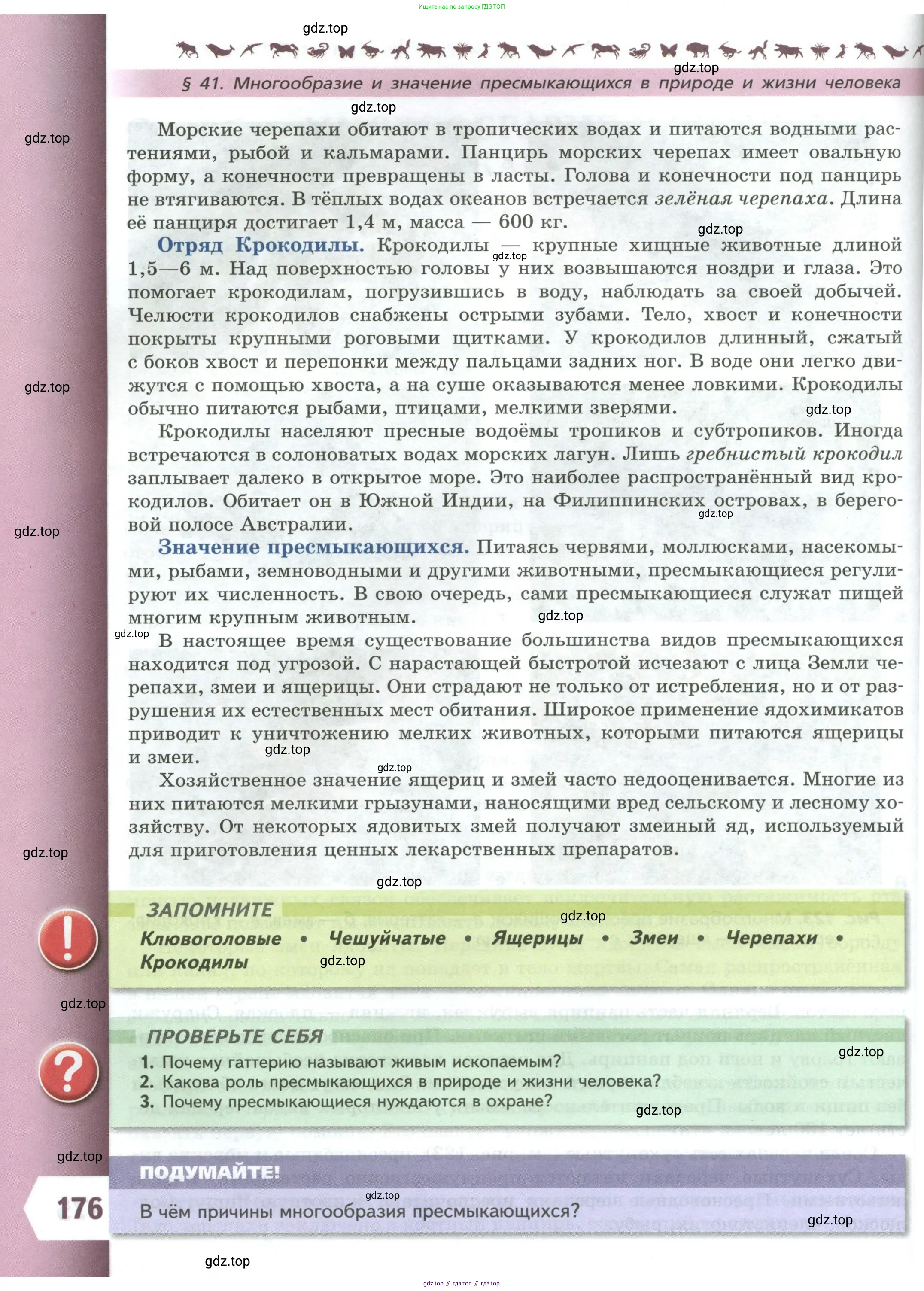 Биология, 8 класс Учебник, авторы: Пасечник Владимир Васильевич, Суматохин Сергей Витальевич, Гапонюк Зоя Георгиевна, издательство Просвещение, Москва, 2023, белого цвета, страница 176