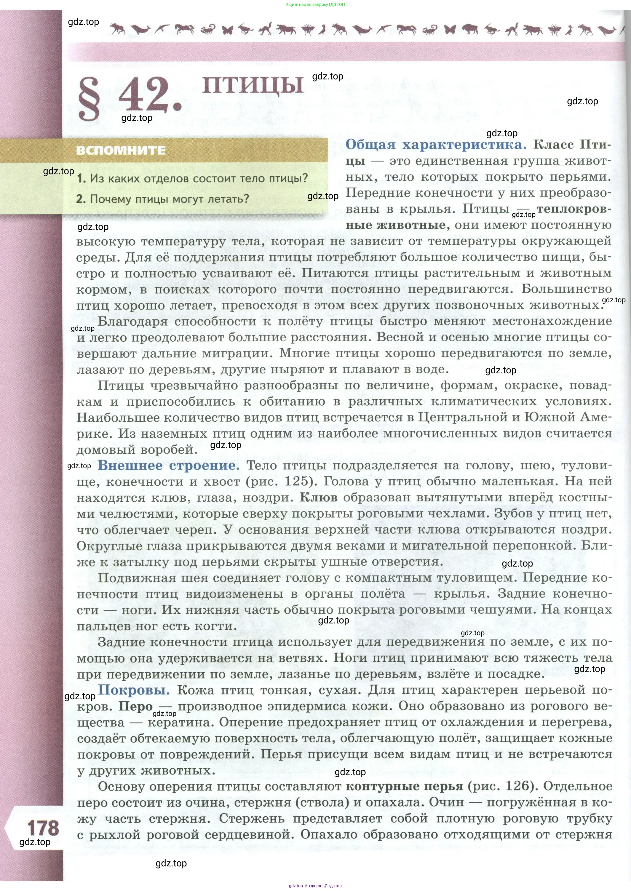 Биология, 8 класс Учебник, авторы: Пасечник Владимир Васильевич, Суматохин Сергей Витальевич, Гапонюк Зоя Георгиевна, издательство Просвещение, Москва, 2023, белого цвета, страница 178