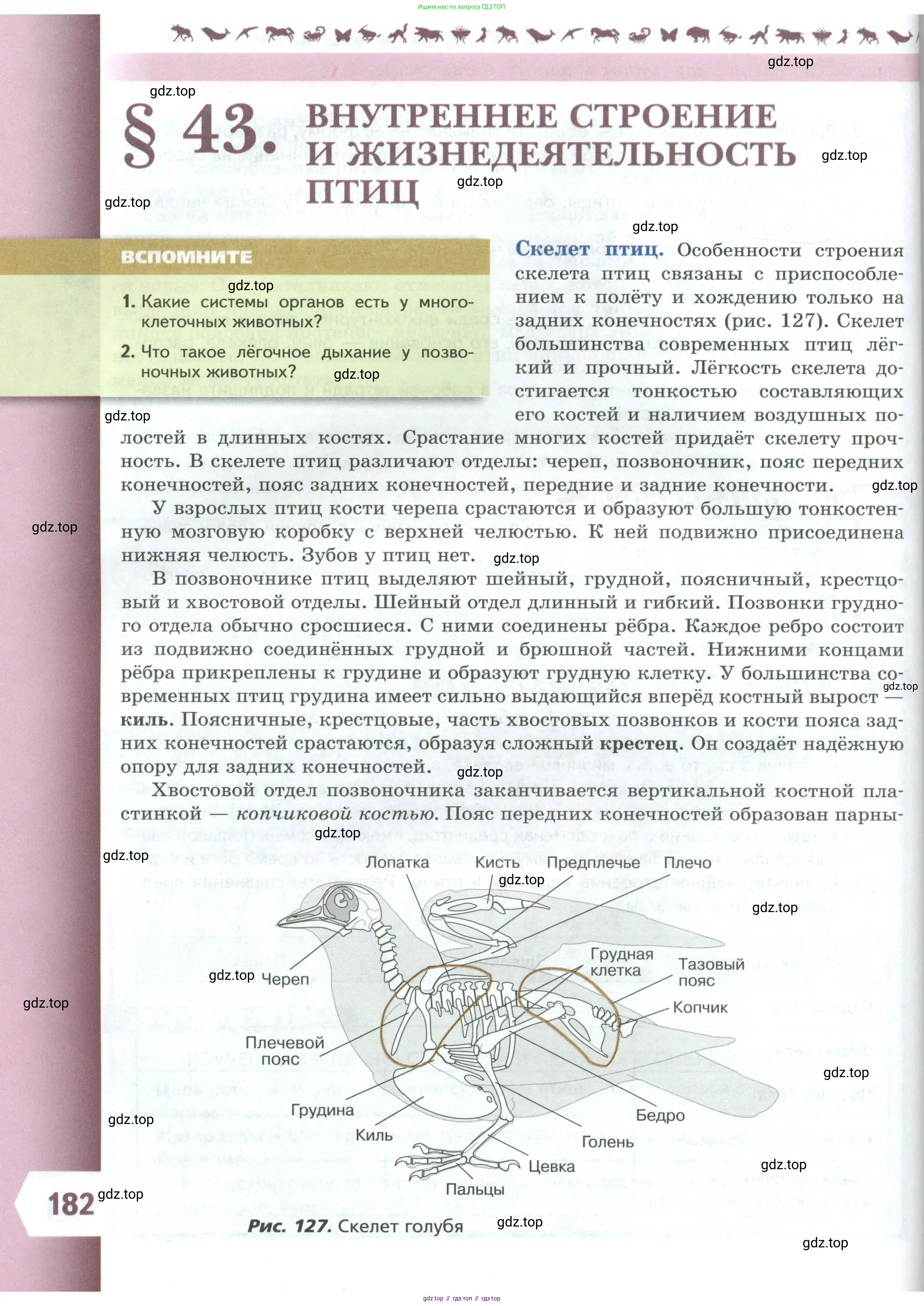 Биология, 8 класс Учебник, авторы: Пасечник Владимир Васильевич, Суматохин Сергей Витальевич, Гапонюк Зоя Георгиевна, издательство Просвещение, Москва, 2023, белого цвета, страница 182