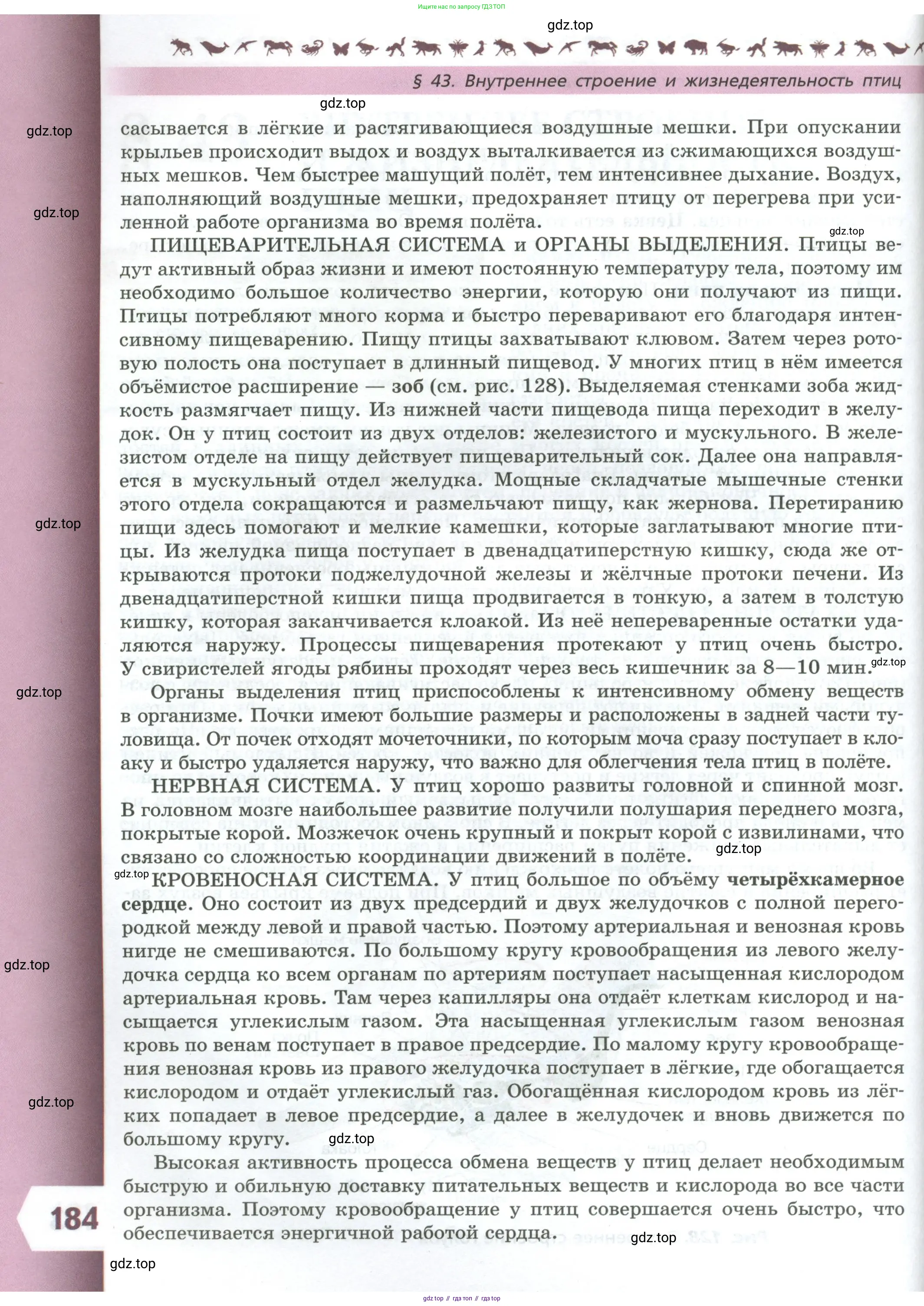 Биология, 8 класс Учебник, авторы: Пасечник Владимир Васильевич, Суматохин Сергей Витальевич, Гапонюк Зоя Георгиевна, издательство Просвещение, Москва, 2023, белого цвета, страница 184