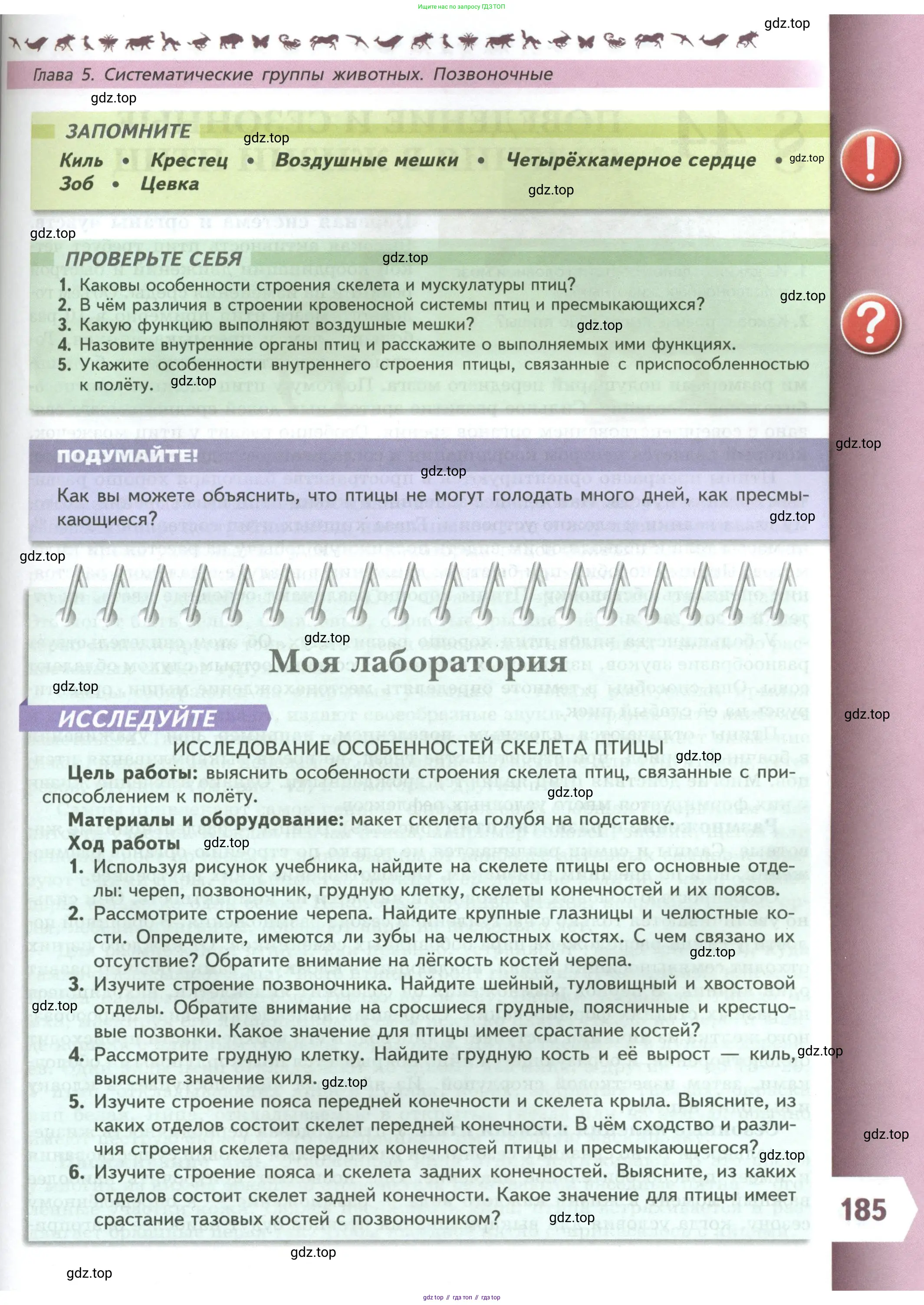 Биология, 8 класс Учебник, авторы: Пасечник Владимир Васильевич, Суматохин Сергей Витальевич, Гапонюк Зоя Георгиевна, издательство Просвещение, Москва, 2023, белого цвета, страница 185