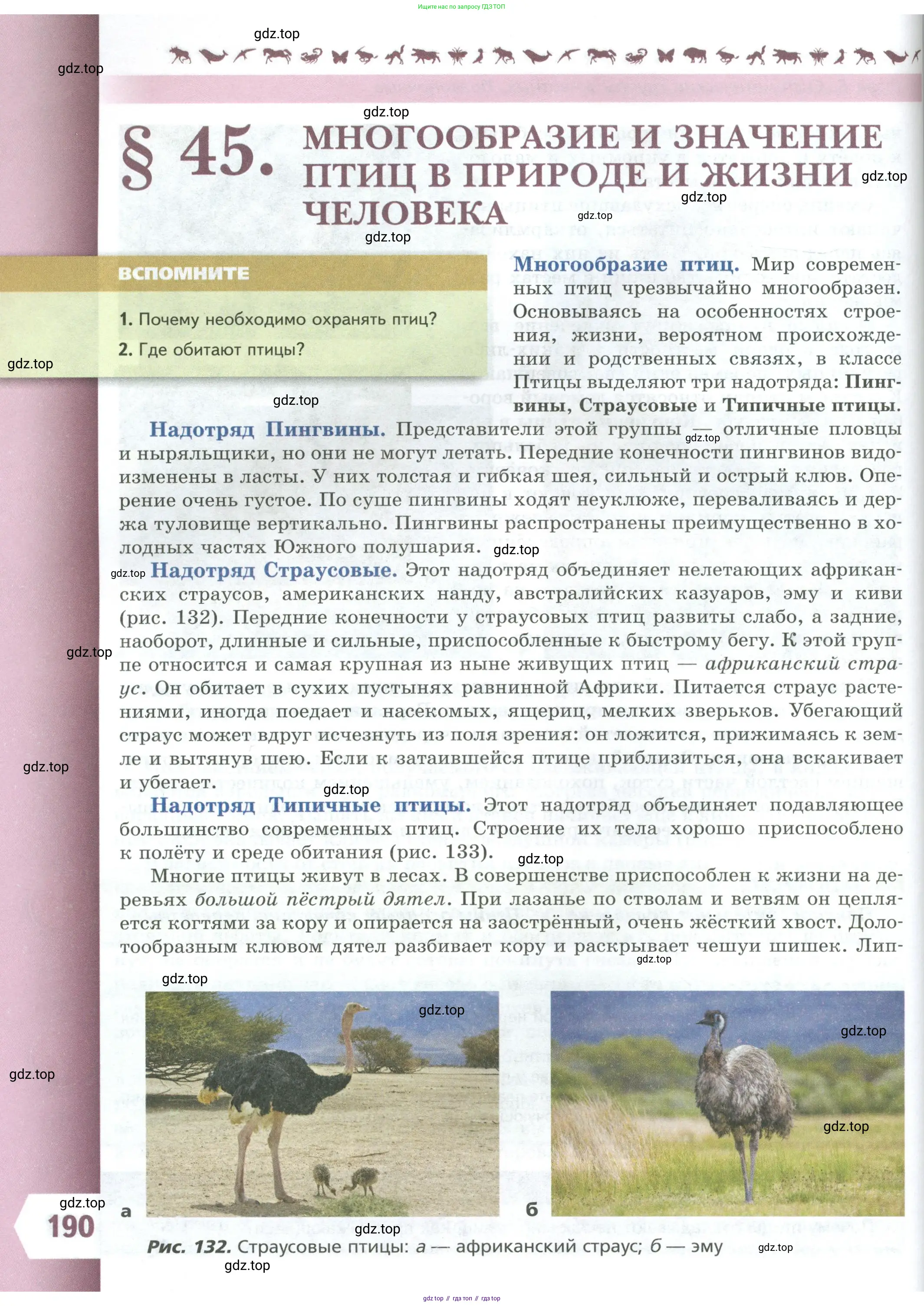 Биология, 8 класс Учебник, авторы: Пасечник Владимир Васильевич, Суматохин Сергей Витальевич, Гапонюк Зоя Георгиевна, издательство Просвещение, Москва, 2023, белого цвета, страница 190