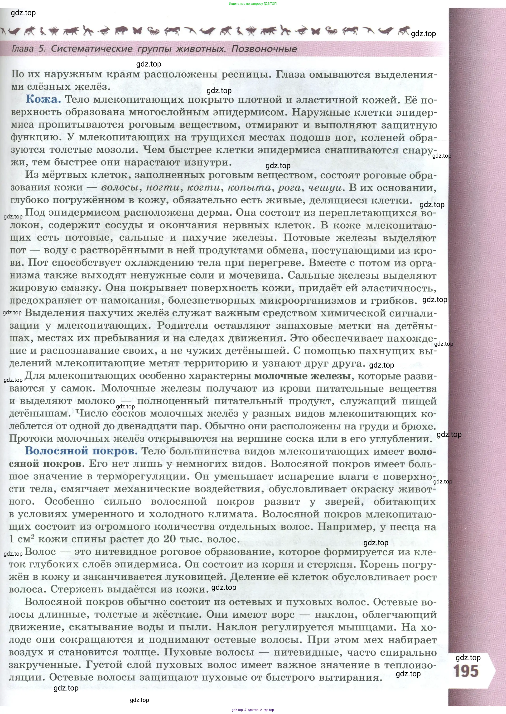Биология, 8 класс Учебник, авторы: Пасечник Владимир Васильевич, Суматохин Сергей Витальевич, Гапонюк Зоя Георгиевна, издательство Просвещение, Москва, 2023, белого цвета, страница 195