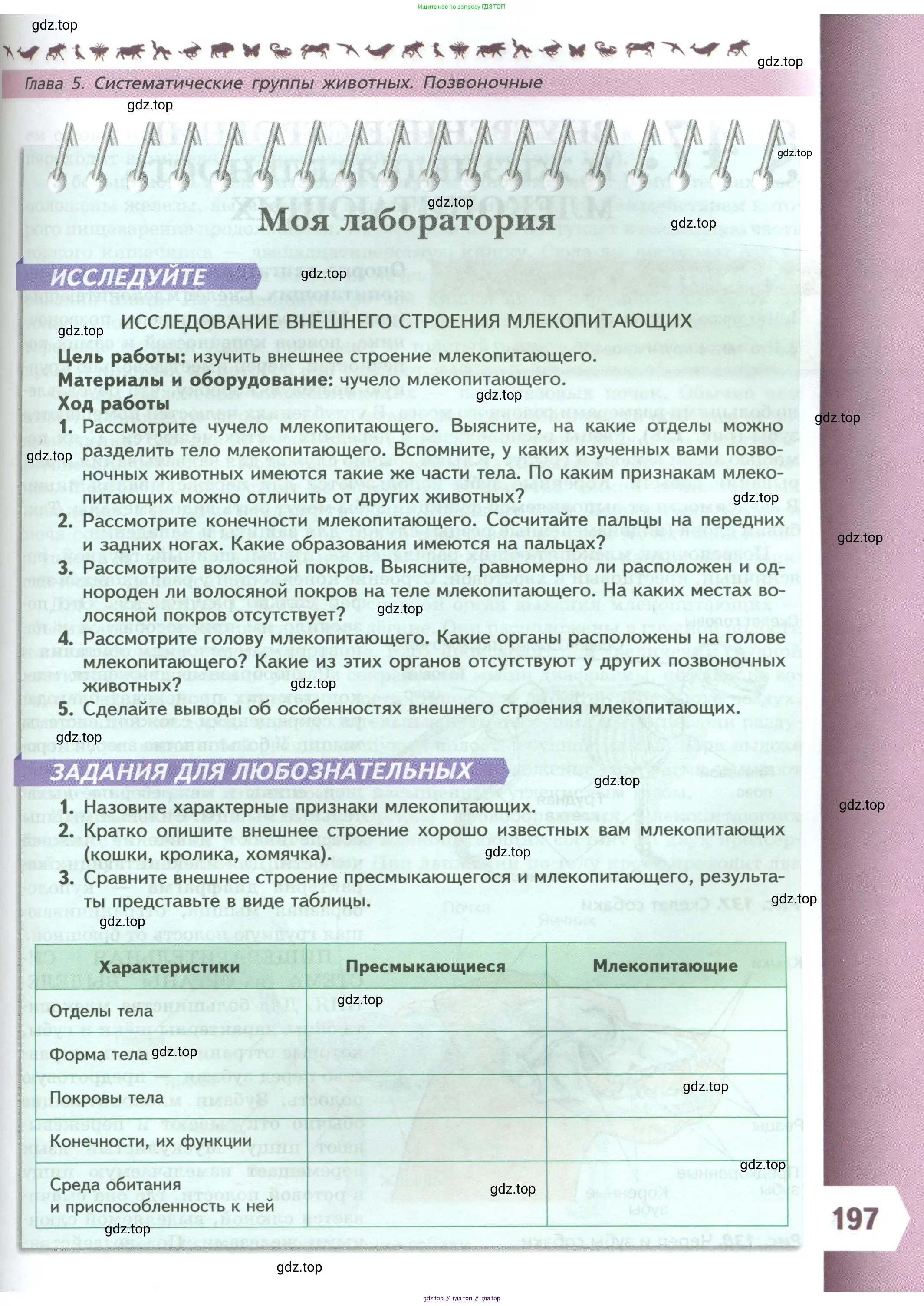 Биология, 8 класс Учебник, авторы: Пасечник Владимир Васильевич, Суматохин Сергей Витальевич, Гапонюк Зоя Георгиевна, издательство Просвещение, Москва, 2023, белого цвета, страница 197