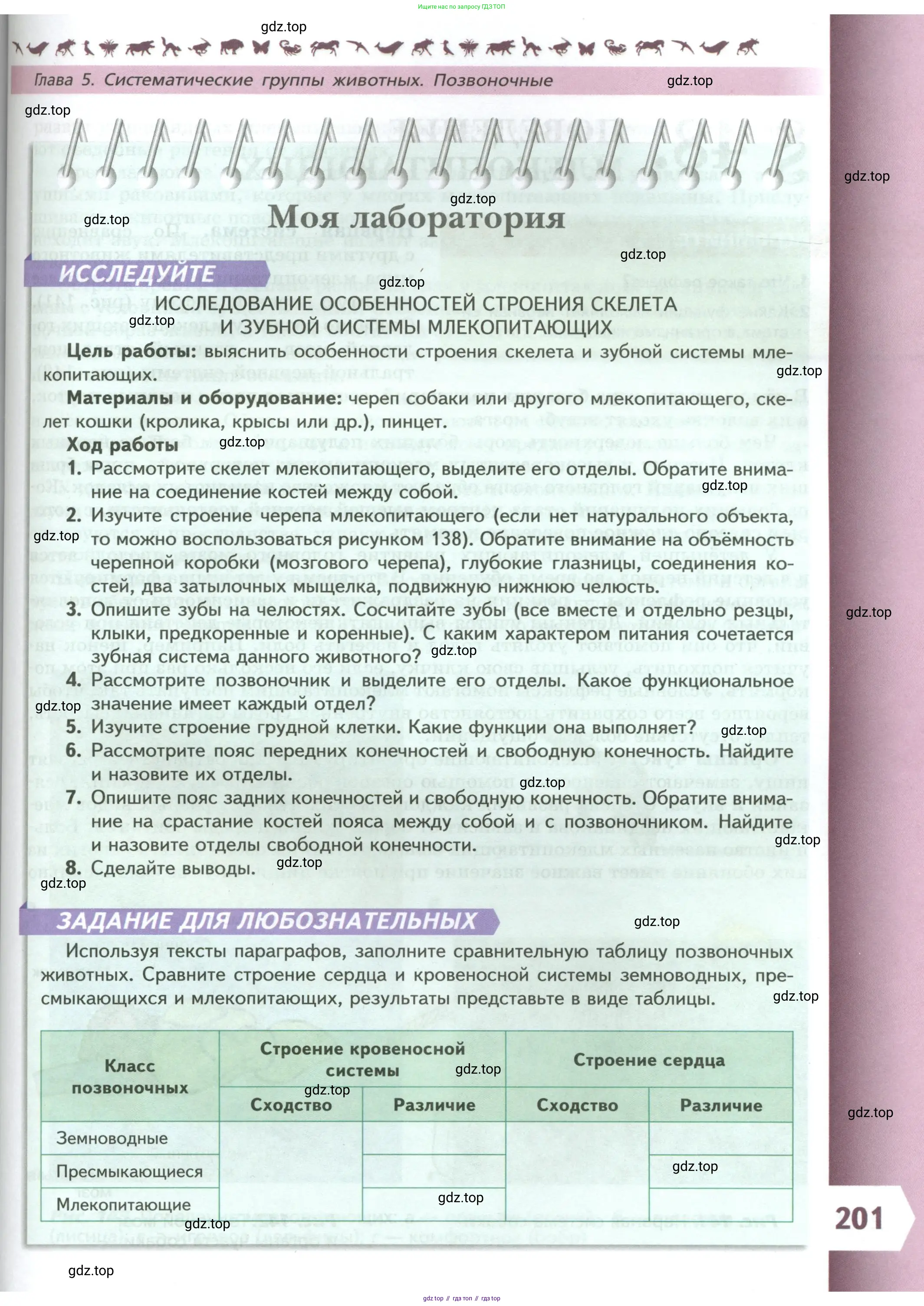 Биология, 8 класс Учебник, авторы: Пасечник Владимир Васильевич, Суматохин Сергей Витальевич, Гапонюк Зоя Георгиевна, издательство Просвещение, Москва, 2023, белого цвета, страница 201