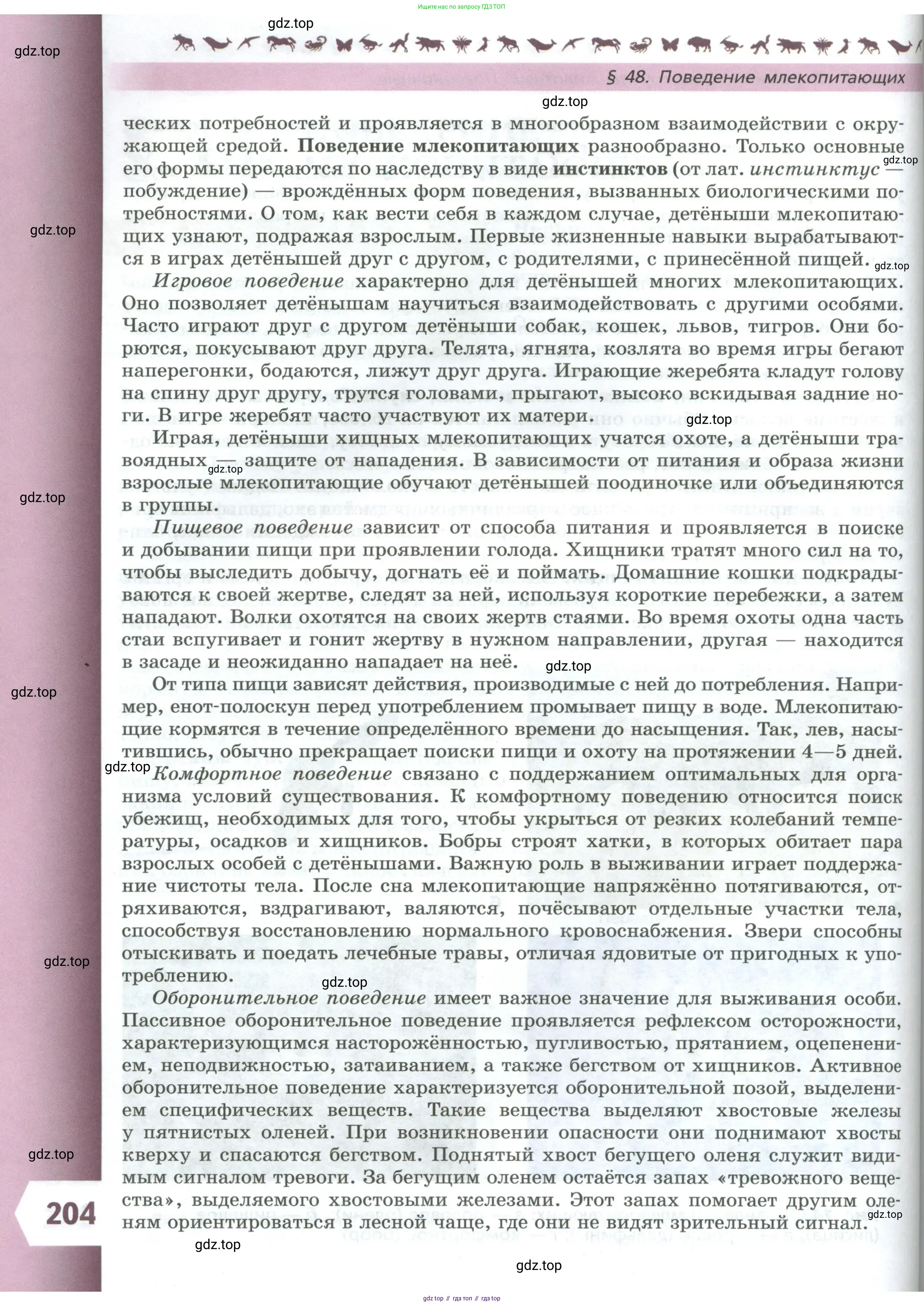 Биология, 8 класс Учебник, авторы: Пасечник Владимир Васильевич, Суматохин Сергей Витальевич, Гапонюк Зоя Георгиевна, издательство Просвещение, Москва, 2023, белого цвета, страница 204