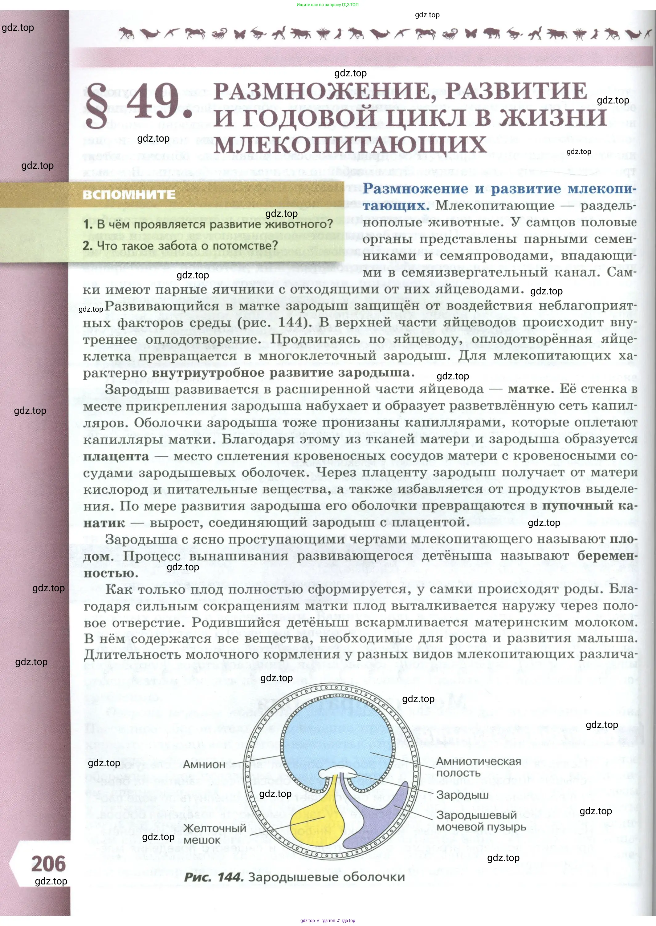 Биология, 8 класс Учебник, авторы: Пасечник Владимир Васильевич, Суматохин Сергей Витальевич, Гапонюк Зоя Георгиевна, издательство Просвещение, Москва, 2023, белого цвета, страница 206
