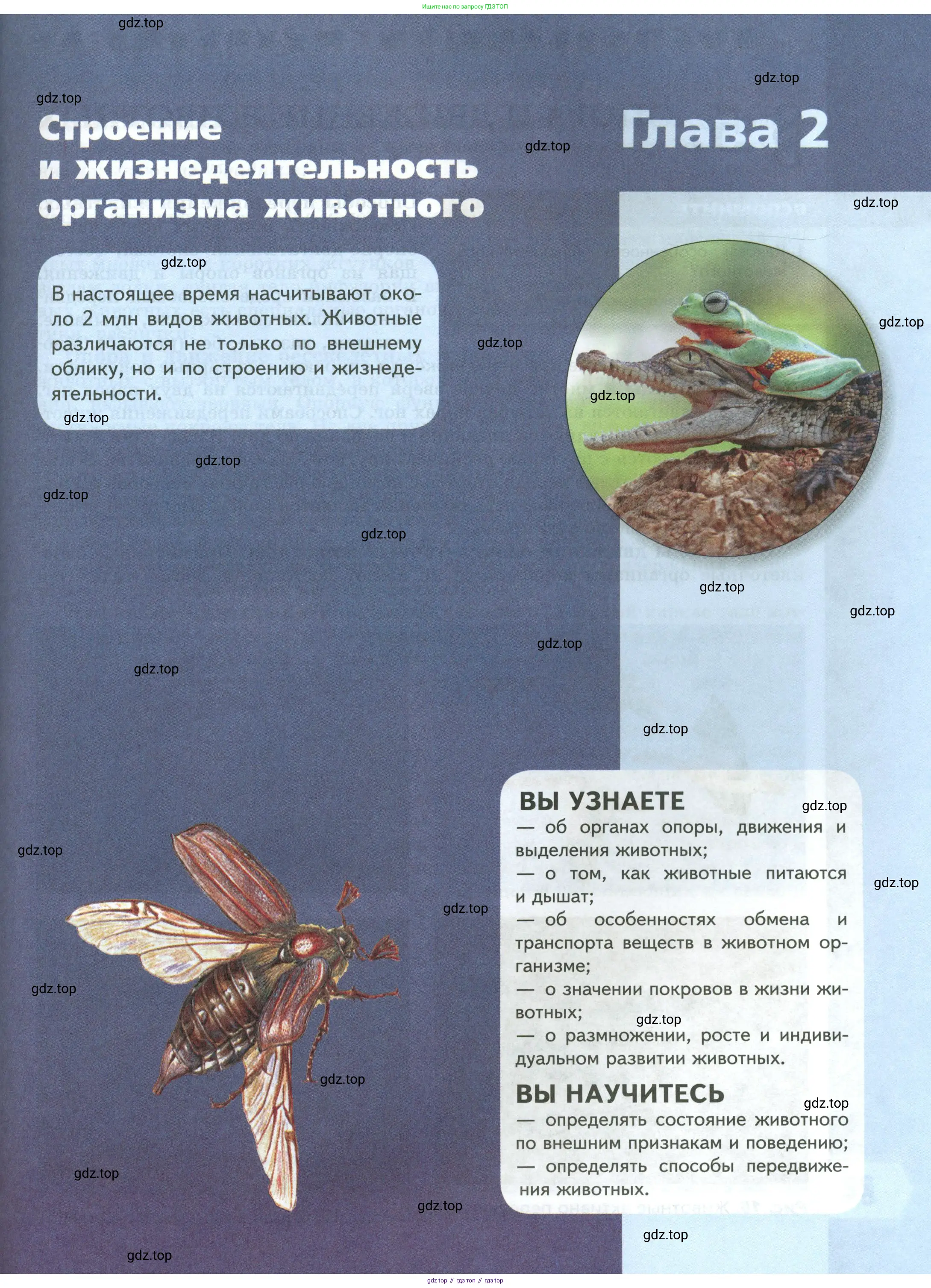 Биология, 8 класс Учебник, авторы: Пасечник Владимир Васильевич, Суматохин Сергей Витальевич, Гапонюк Зоя Георгиевна, издательство Просвещение, Москва, 2023, белого цвета, страница 21