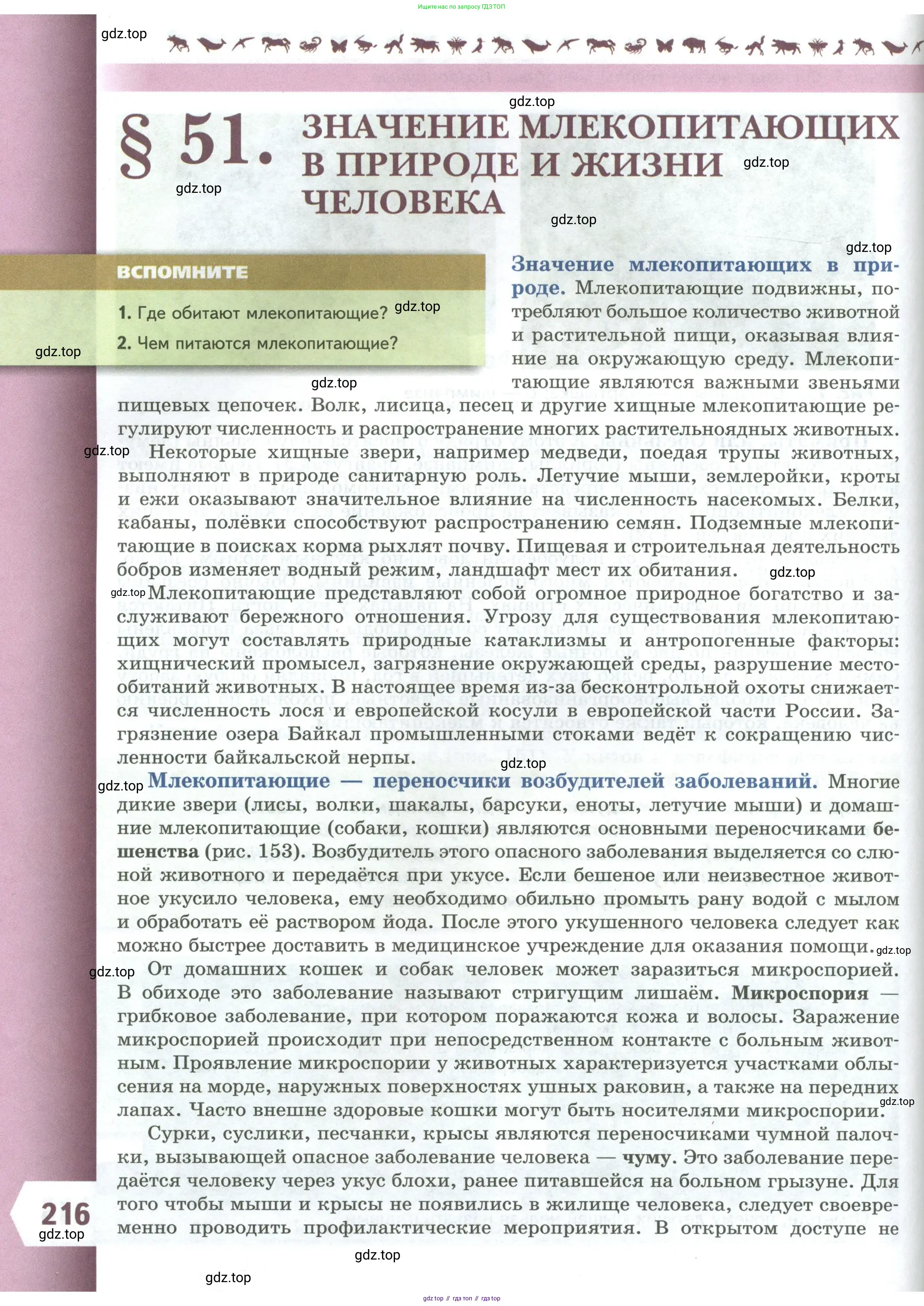 Биология, 8 класс Учебник, авторы: Пасечник Владимир Васильевич, Суматохин Сергей Витальевич, Гапонюк Зоя Георгиевна, издательство Просвещение, Москва, 2023, белого цвета, страница 216