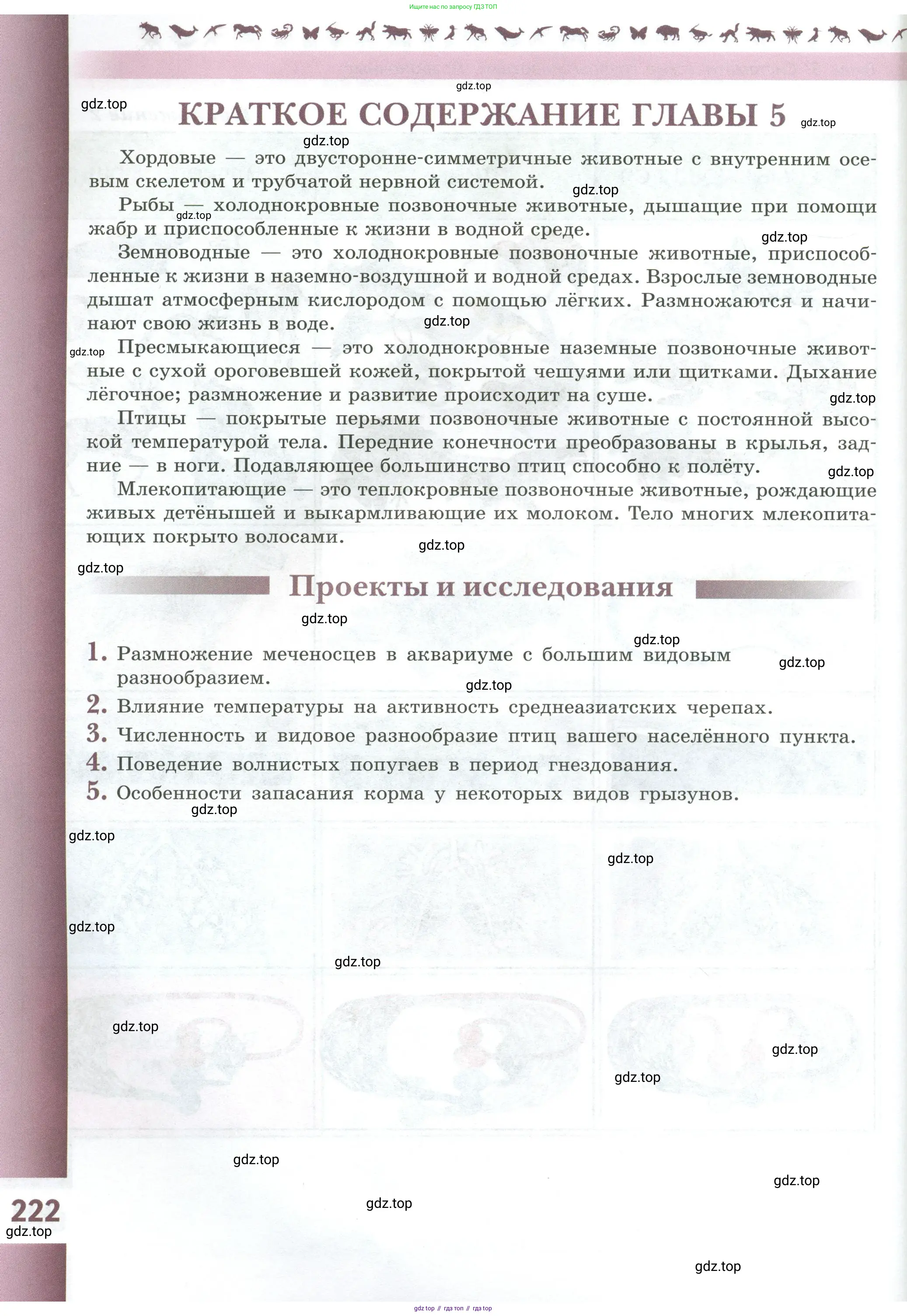 Биология, 8 класс Учебник, авторы: Пасечник Владимир Васильевич, Суматохин Сергей Витальевич, Гапонюк Зоя Георгиевна, издательство Просвещение, Москва, 2023, белого цвета, страница 222
