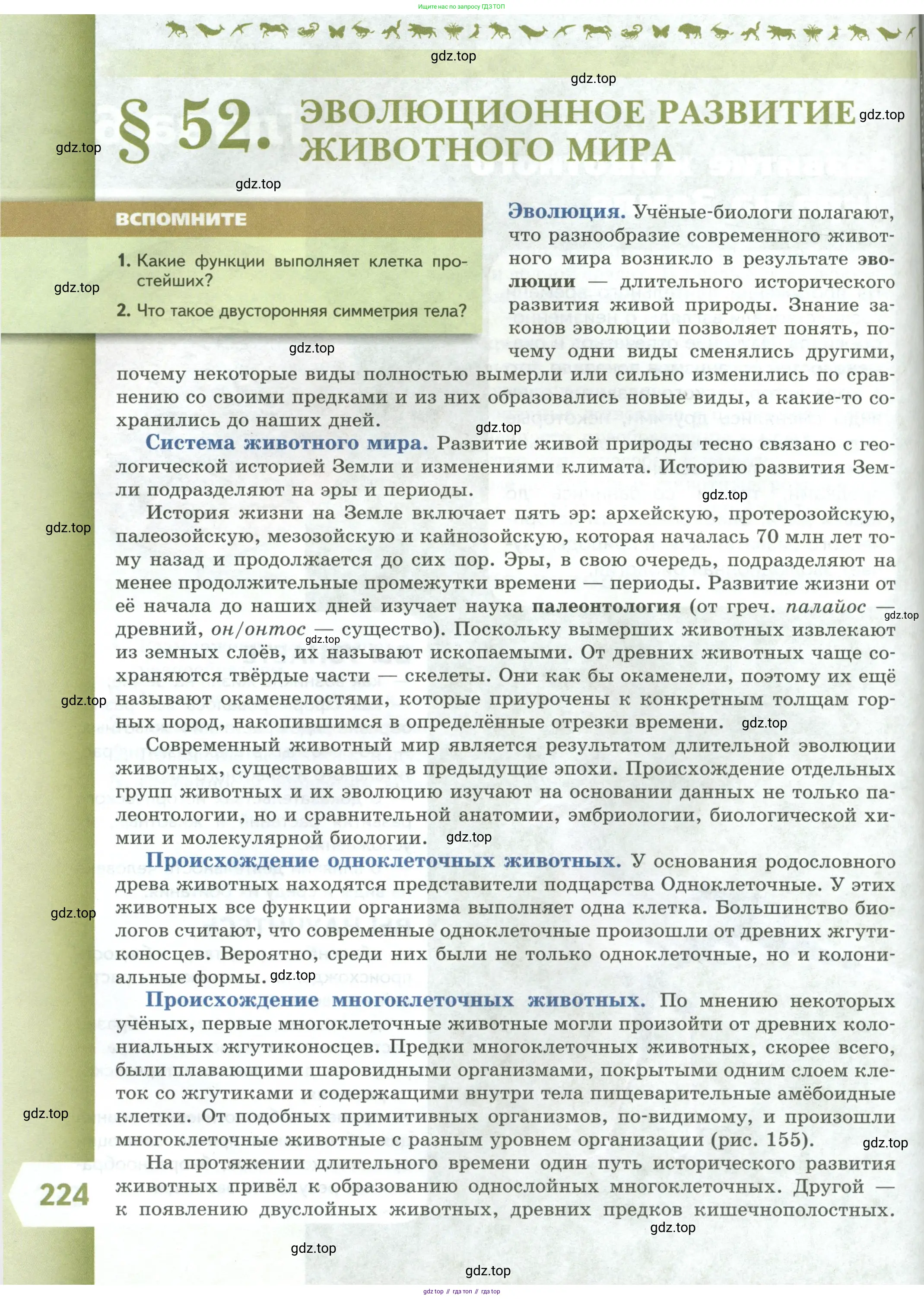 Биология, 8 класс Учебник, авторы: Пасечник Владимир Васильевич, Суматохин Сергей Витальевич, Гапонюк Зоя Георгиевна, издательство Просвещение, Москва, 2023, белого цвета, страница 224
