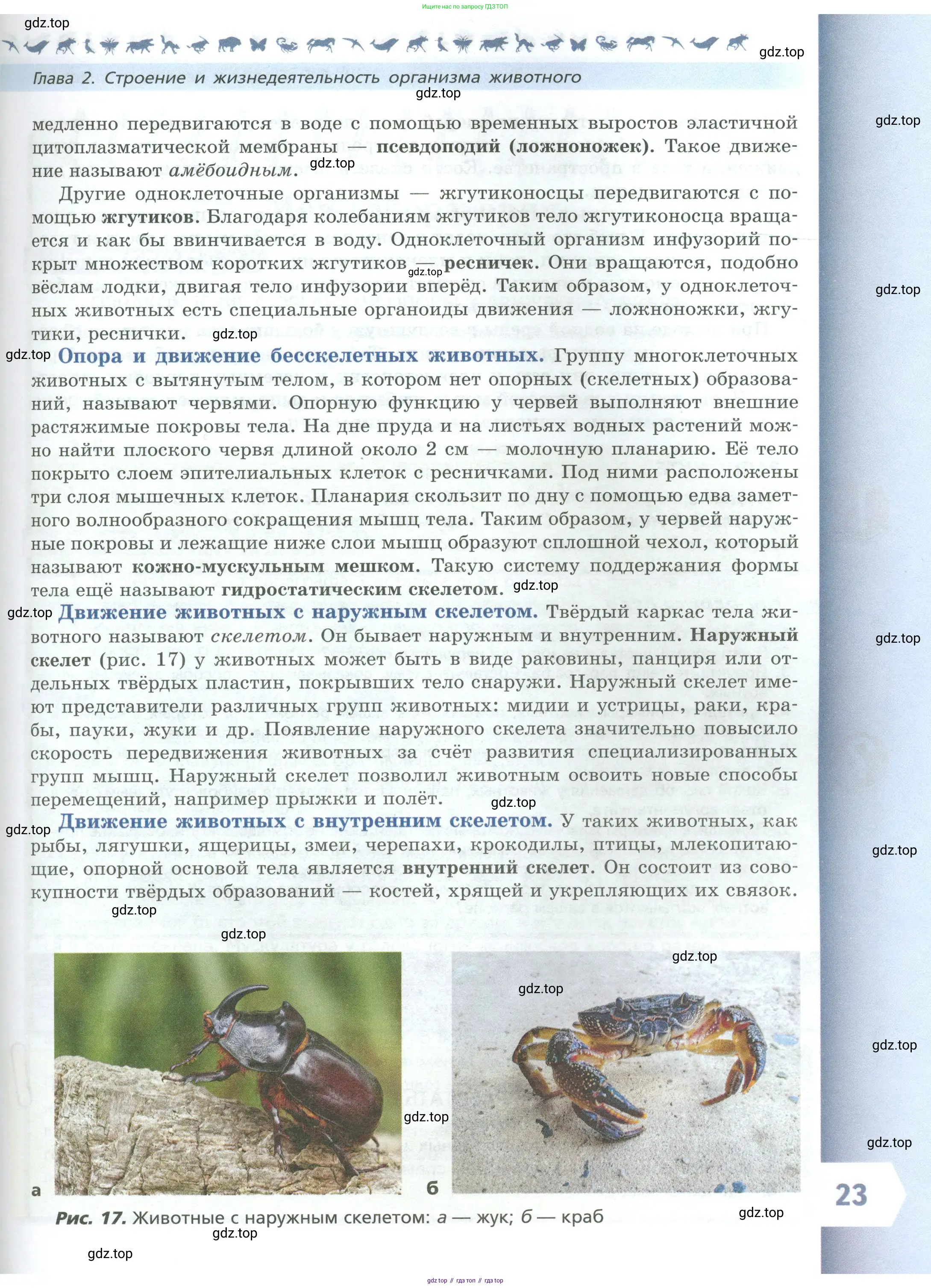 Биология, 8 класс Учебник, авторы: Пасечник Владимир Васильевич, Суматохин Сергей Витальевич, Гапонюк Зоя Георгиевна, издательство Просвещение, Москва, 2023, белого цвета, страница 23