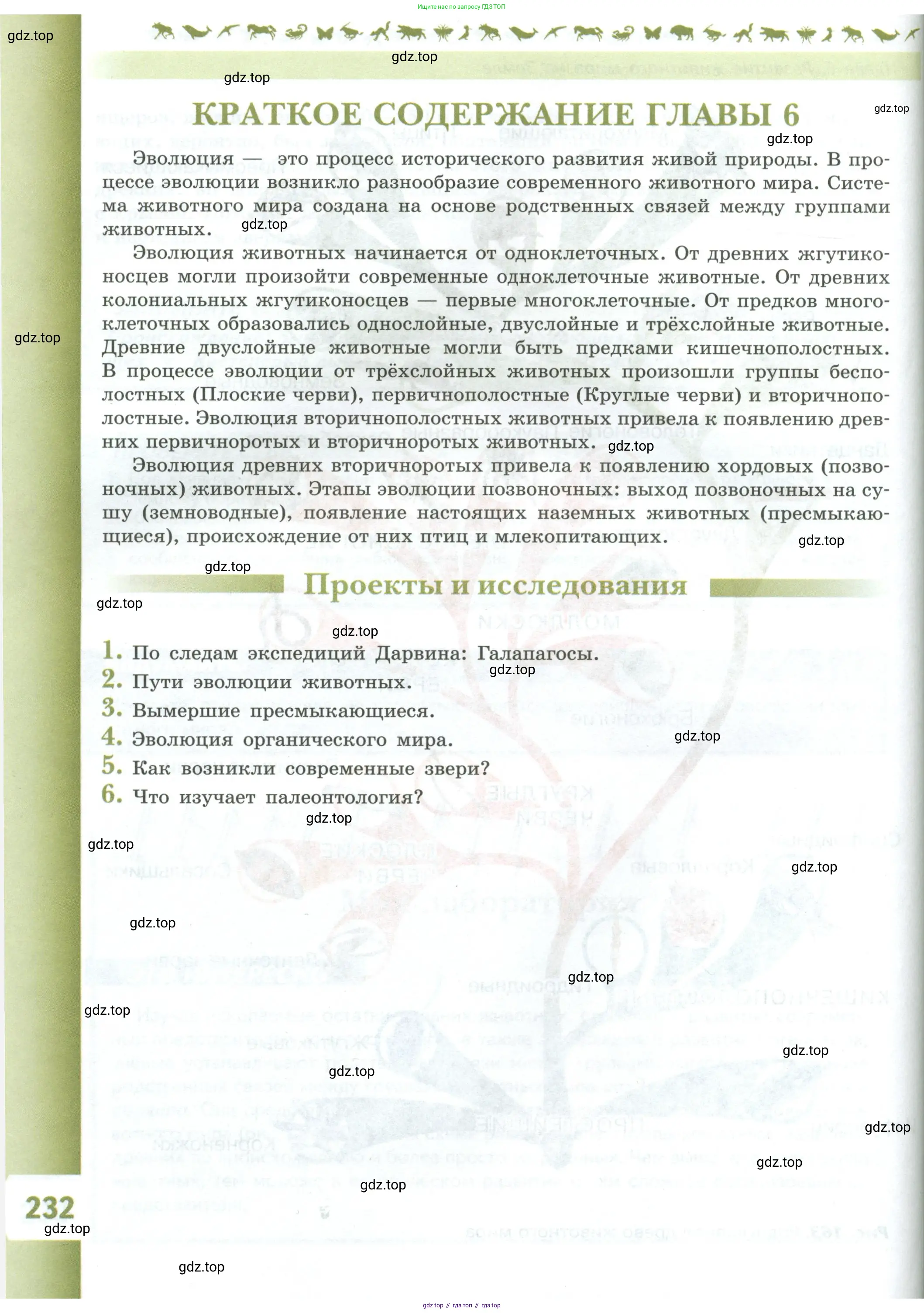 Биология, 8 класс Учебник, авторы: Пасечник Владимир Васильевич, Суматохин Сергей Витальевич, Гапонюк Зоя Георгиевна, издательство Просвещение, Москва, 2023, белого цвета, страница 232