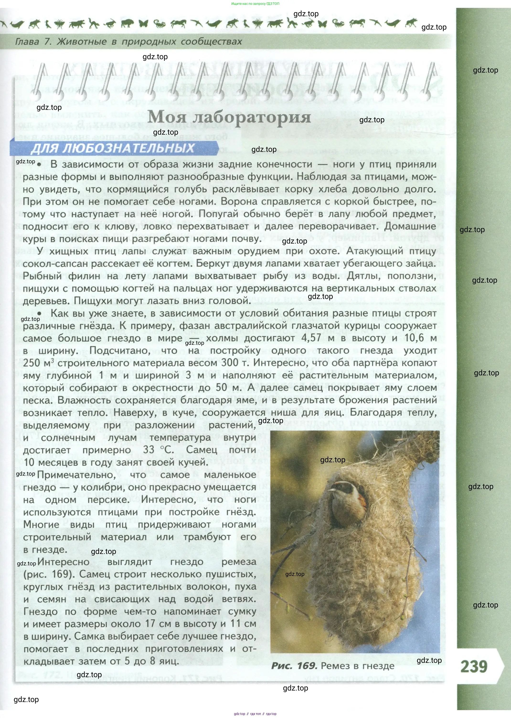 Биология, 8 класс Учебник, авторы: Пасечник Владимир Васильевич, Суматохин Сергей Витальевич, Гапонюк Зоя Георгиевна, издательство Просвещение, Москва, 2023, белого цвета, страница 239