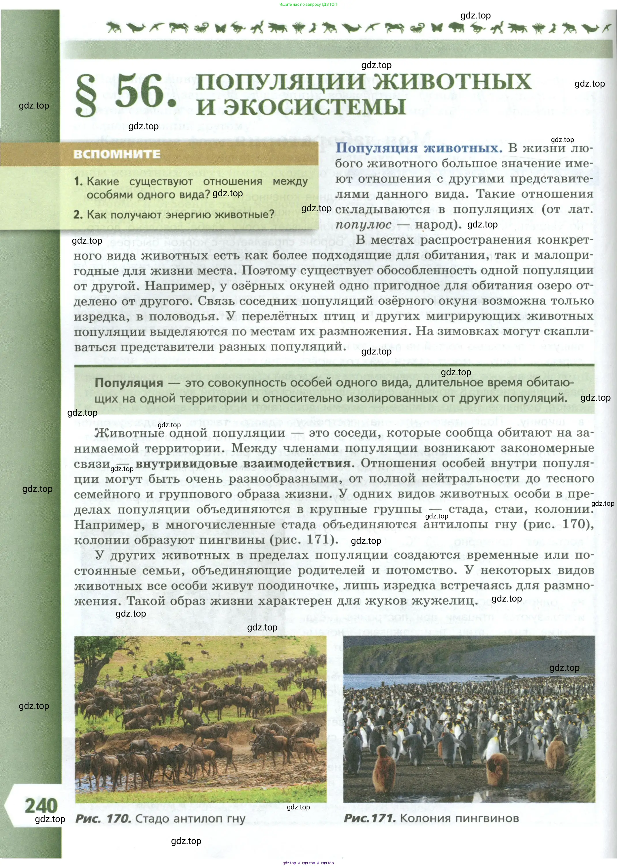 Биология, 8 класс Учебник, авторы: Пасечник Владимир Васильевич, Суматохин Сергей Витальевич, Гапонюк Зоя Георгиевна, издательство Просвещение, Москва, 2023, белого цвета, страница 240