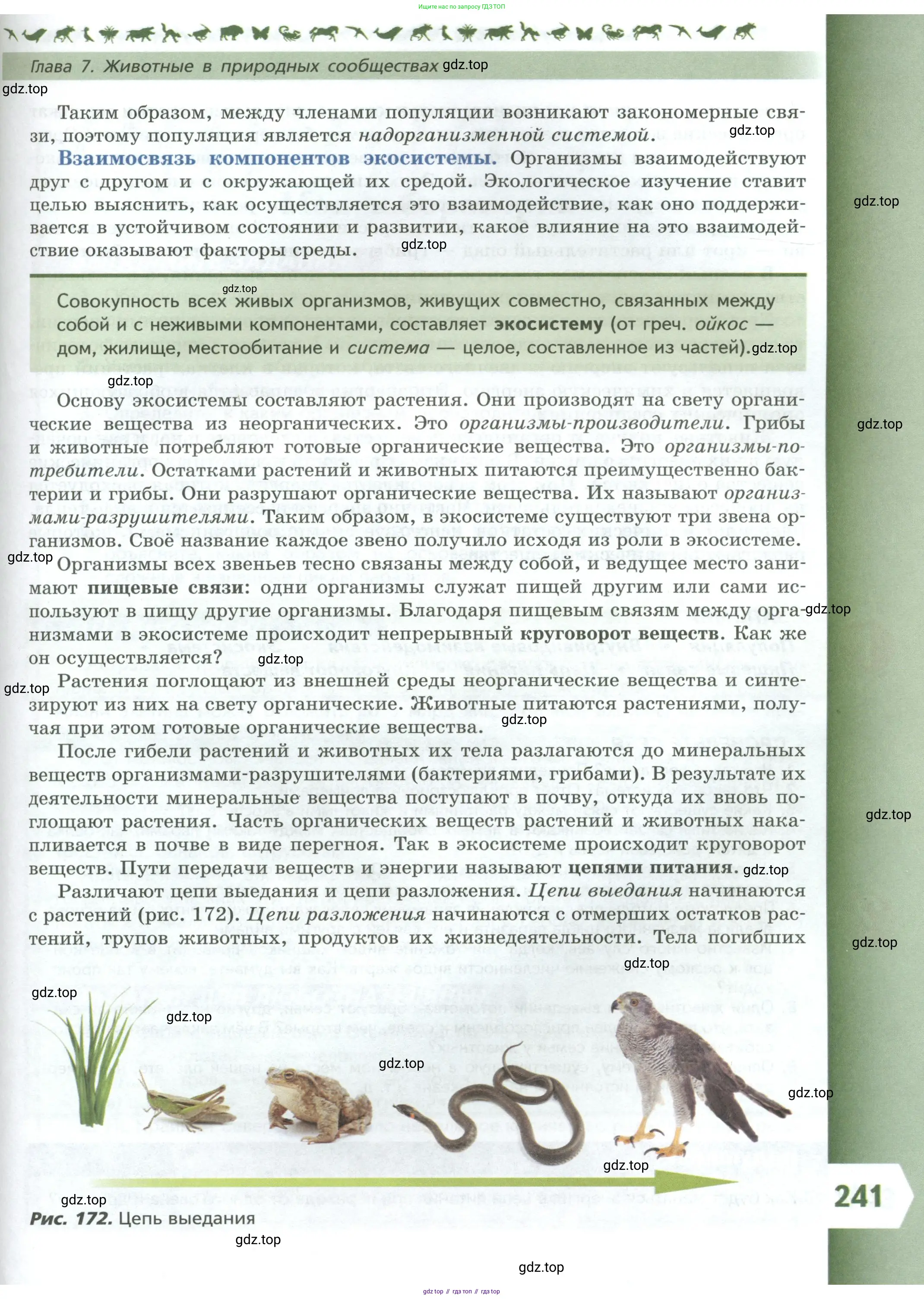 Биология, 8 класс Учебник, авторы: Пасечник Владимир Васильевич, Суматохин Сергей Витальевич, Гапонюк Зоя Георгиевна, издательство Просвещение, Москва, 2023, белого цвета, страница 241