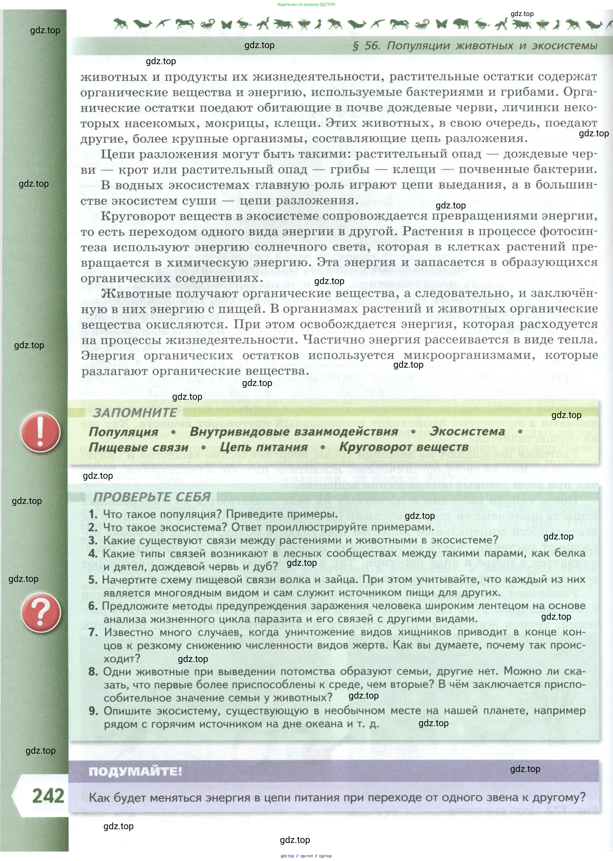 Биология, 8 класс Учебник, авторы: Пасечник Владимир Васильевич, Суматохин Сергей Витальевич, Гапонюк Зоя Георгиевна, издательство Просвещение, Москва, 2023, белого цвета, страница 242
