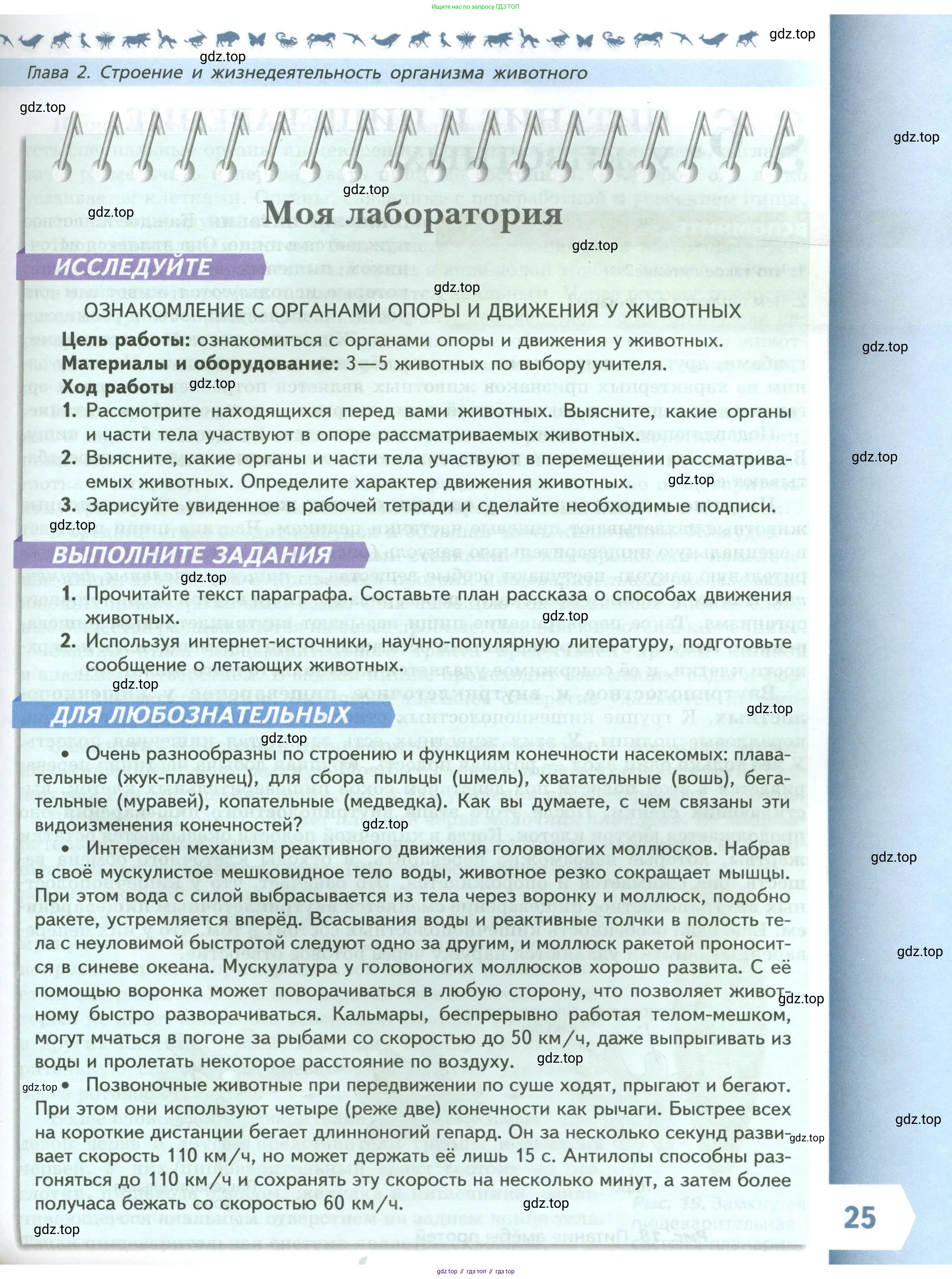 Биология, 8 класс Учебник, авторы: Пасечник Владимир Васильевич, Суматохин Сергей Витальевич, Гапонюк Зоя Георгиевна, издательство Просвещение, Москва, 2023, белого цвета, страница 25