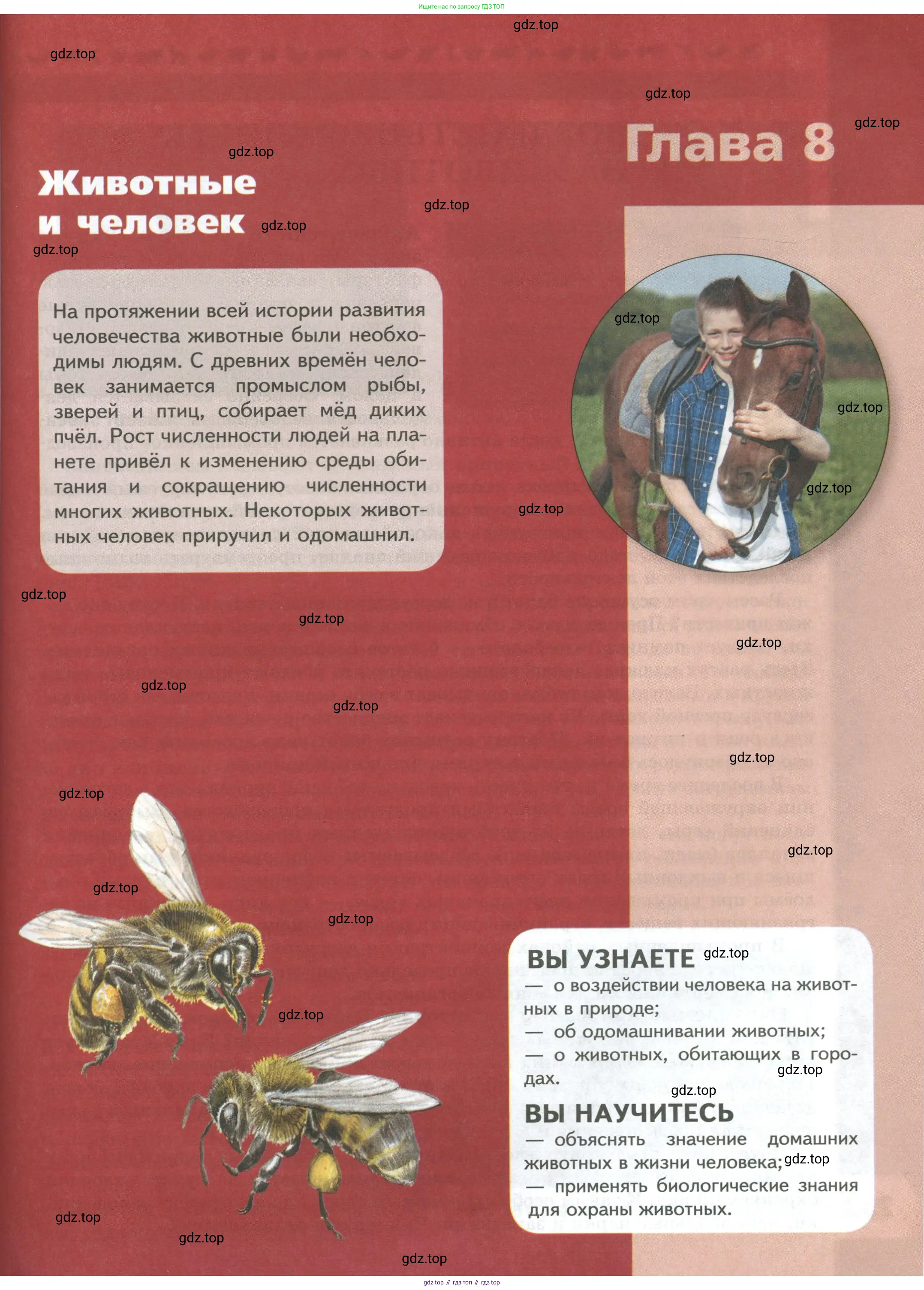 Биология, 8 класс Учебник, авторы: Пасечник Владимир Васильевич, Суматохин Сергей Витальевич, Гапонюк Зоя Георгиевна, издательство Просвещение, Москва, 2023, белого цвета, страница 251