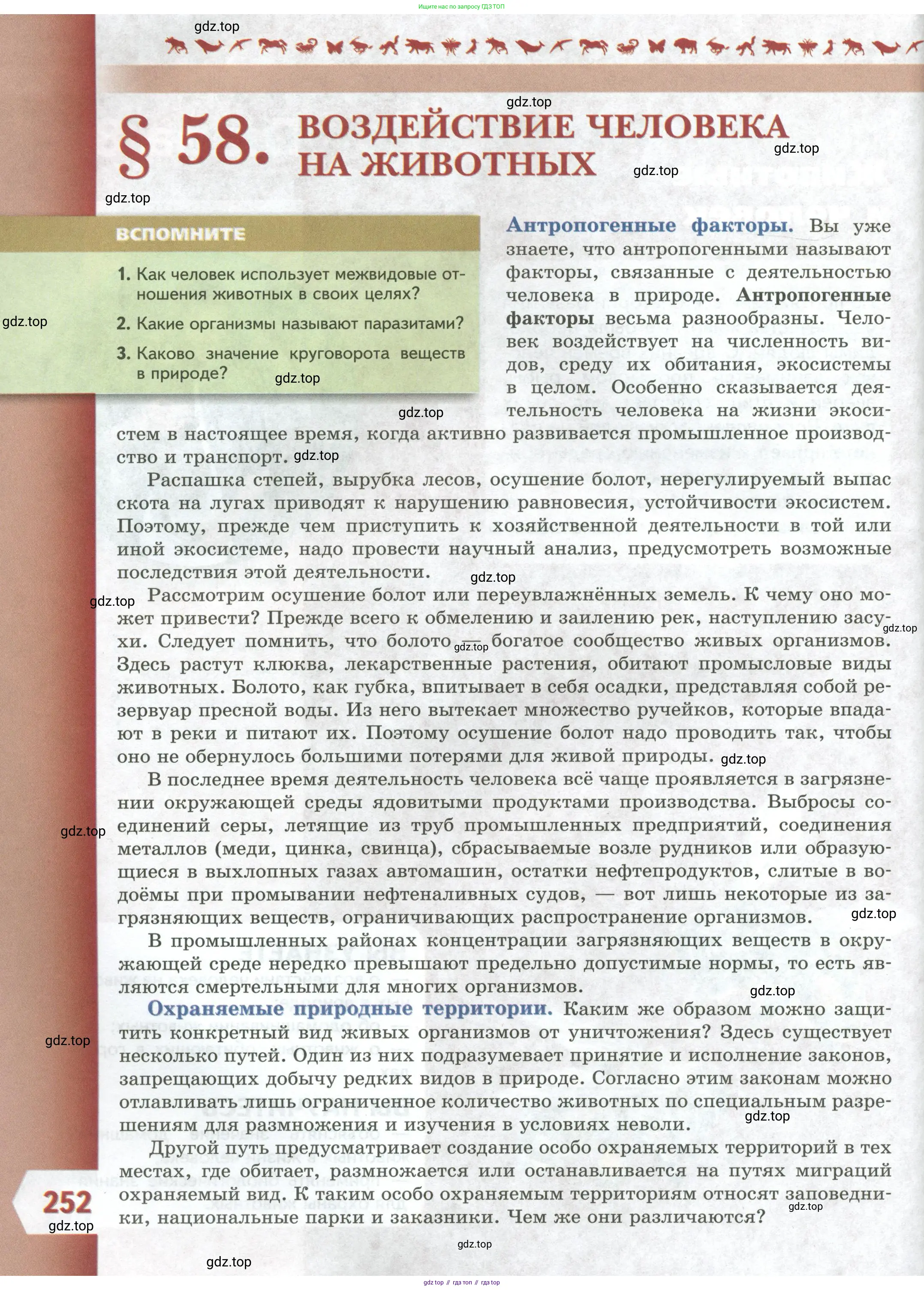 Биология, 8 класс Учебник, авторы: Пасечник Владимир Васильевич, Суматохин Сергей Витальевич, Гапонюк Зоя Георгиевна, издательство Просвещение, Москва, 2023, белого цвета, страница 252