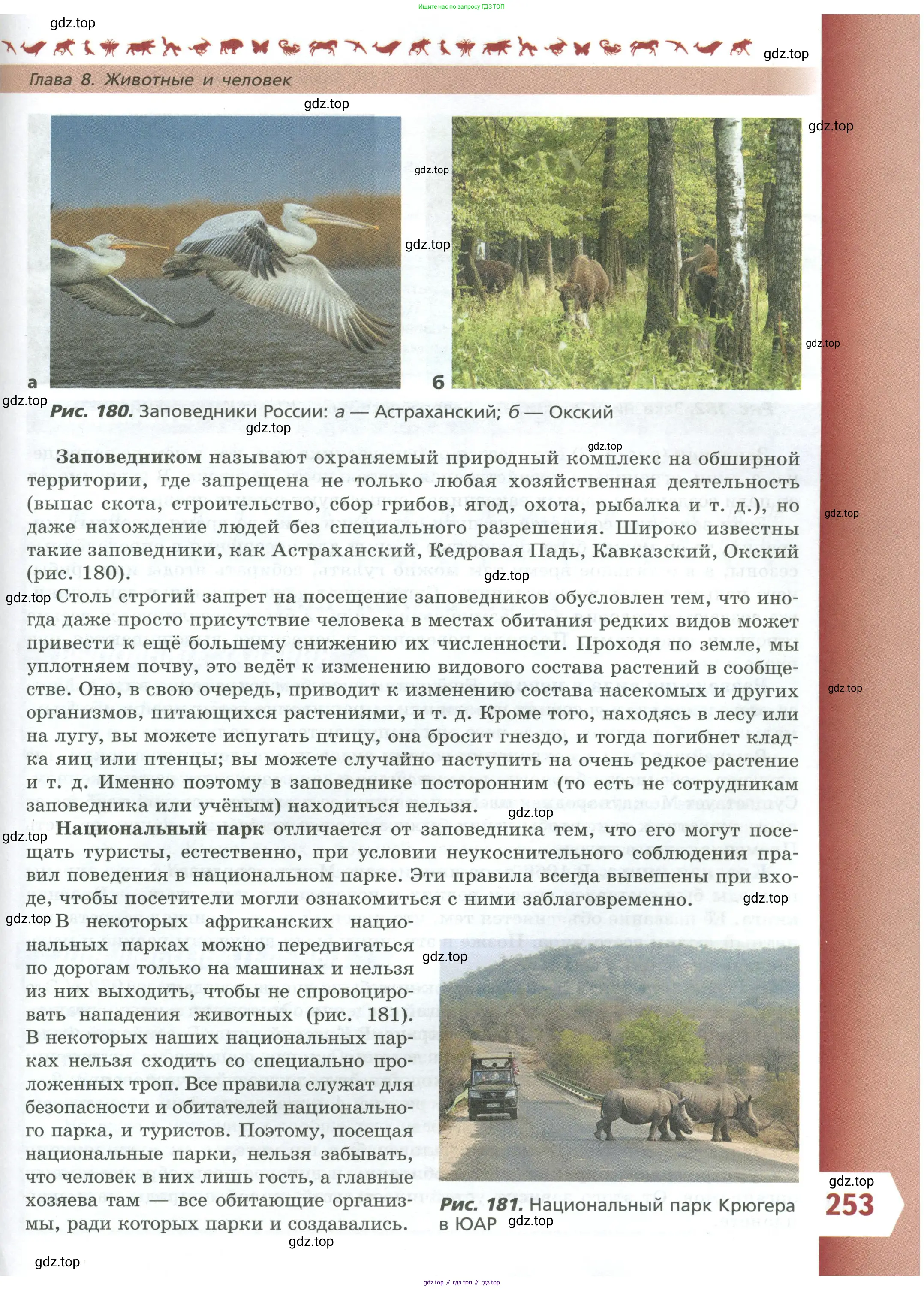 Биология, 8 класс Учебник, авторы: Пасечник Владимир Васильевич, Суматохин Сергей Витальевич, Гапонюк Зоя Георгиевна, издательство Просвещение, Москва, 2023, белого цвета, страница 253
