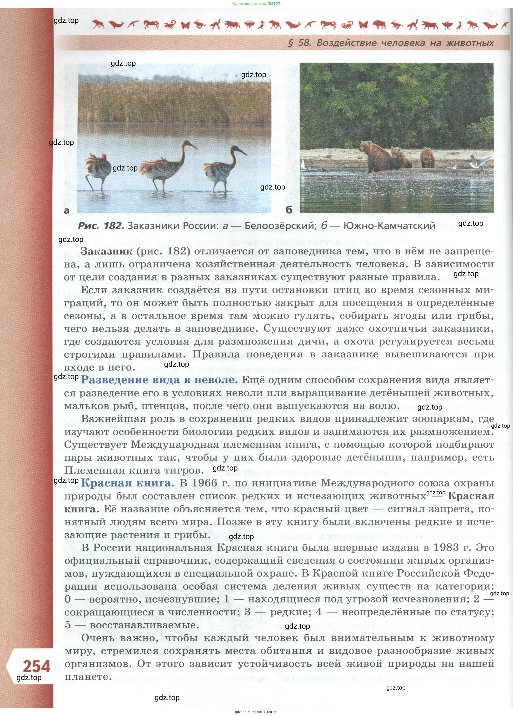 Биология, 8 класс Учебник, авторы: Пасечник Владимир Васильевич, Суматохин Сергей Витальевич, Гапонюк Зоя Георгиевна, издательство Просвещение, Москва, 2023, белого цвета, страница 254