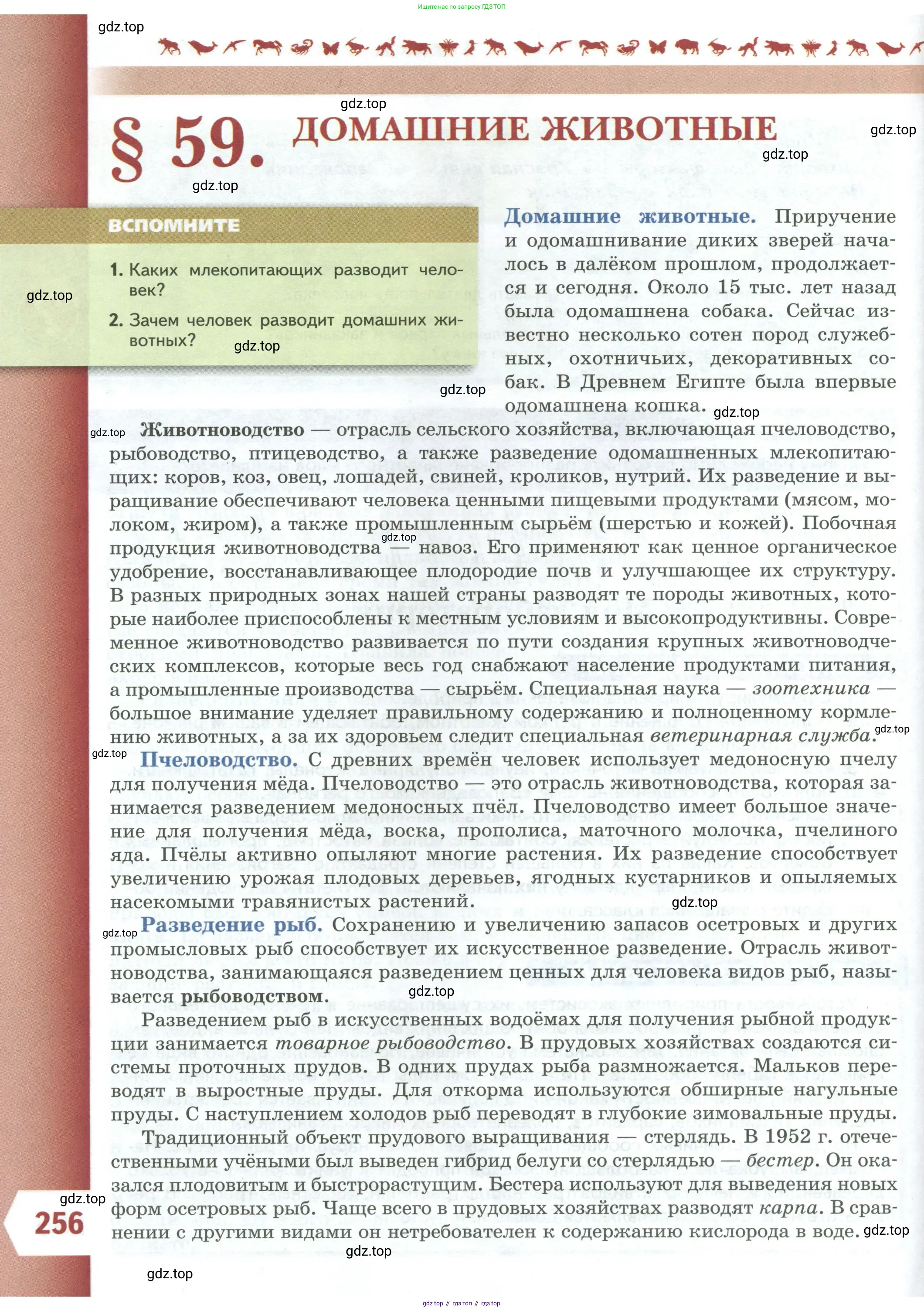 Биология, 8 класс Учебник, авторы: Пасечник Владимир Васильевич, Суматохин Сергей Витальевич, Гапонюк Зоя Георгиевна, издательство Просвещение, Москва, 2023, белого цвета, страница 256